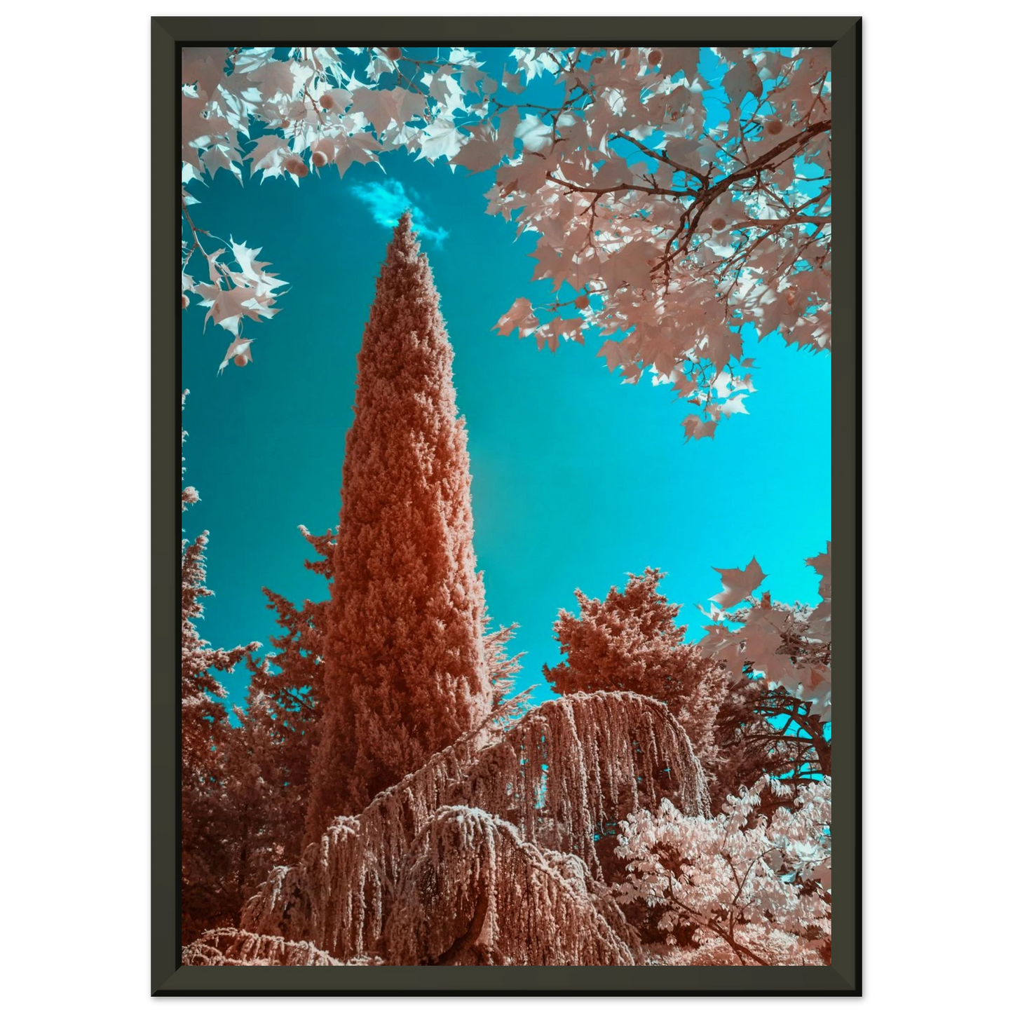 b0f2a627-a6c4-4ef2-bfda-425234ceaacd