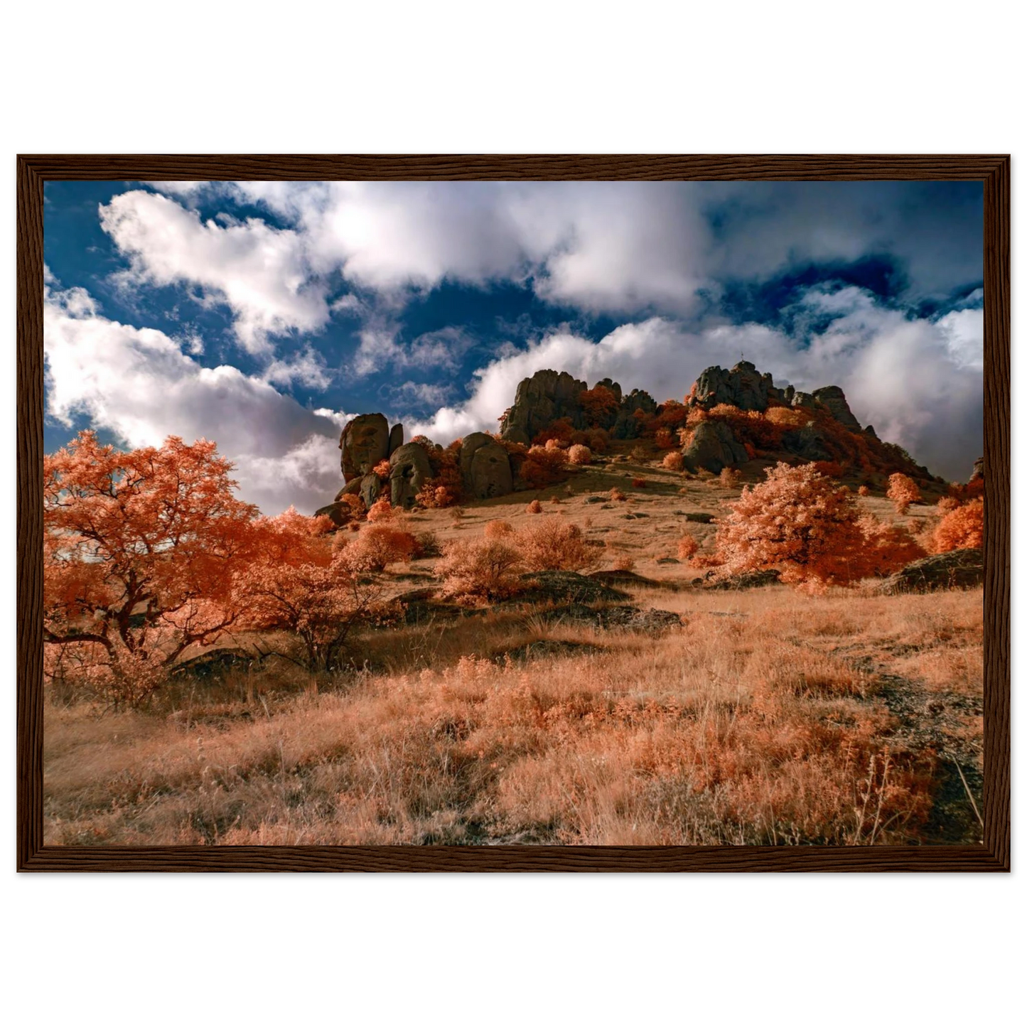 b157a1d6-fc8d-47af-992d-b0b0dcbd4689