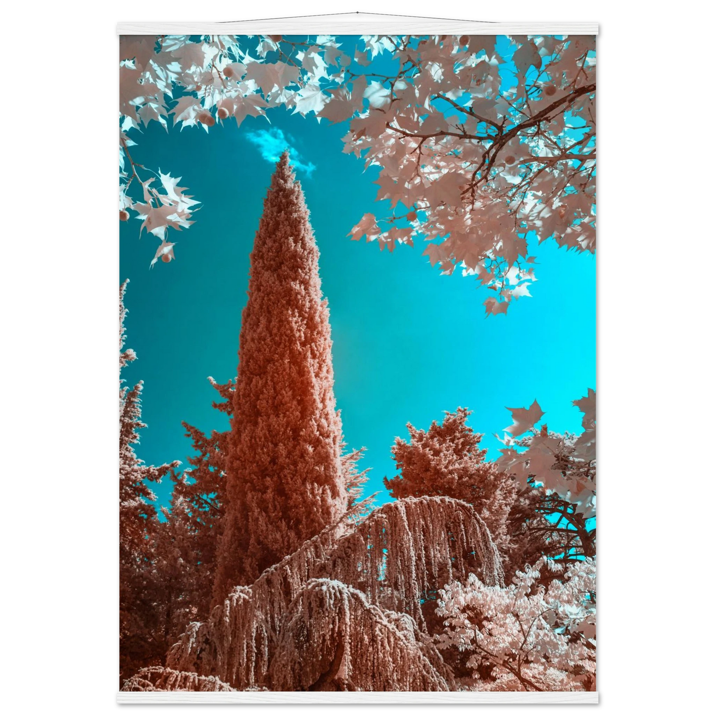 b2bafe25-63c7-4e24-90ac-d53d49b396e1