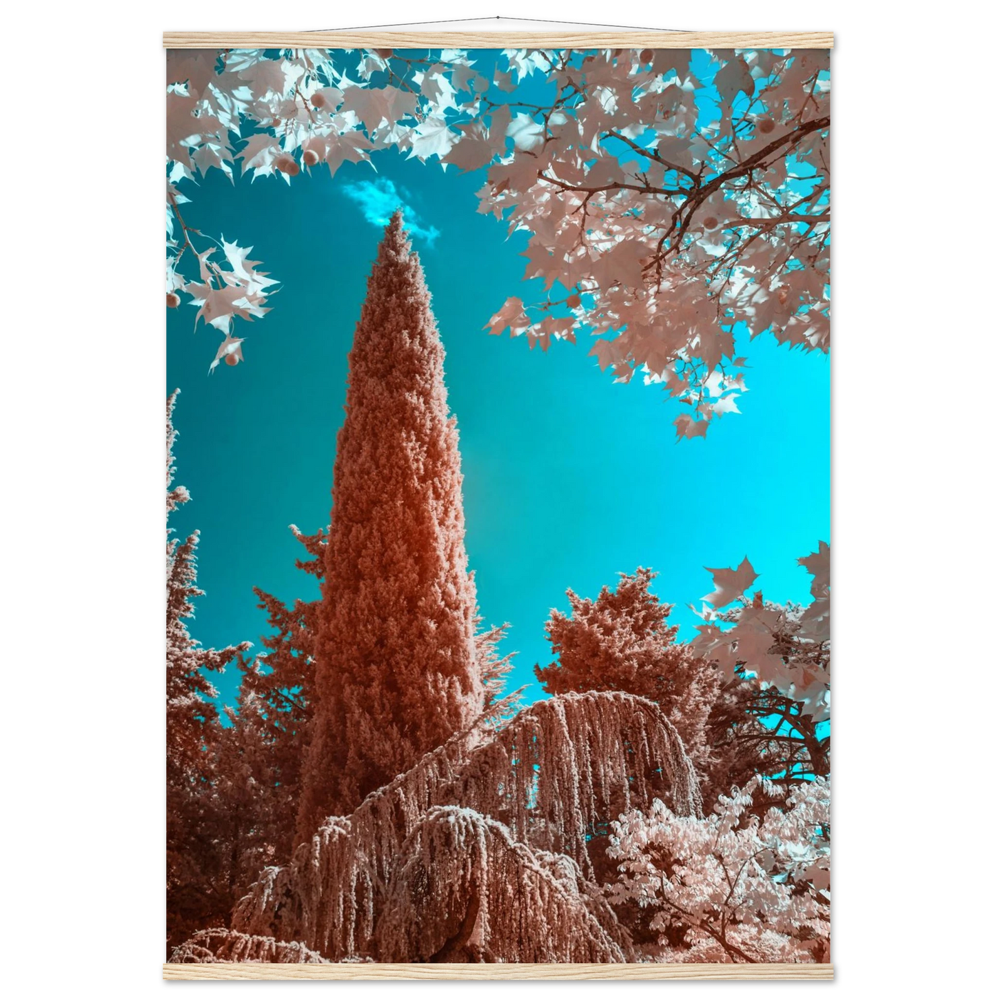 b59d1230-8961-4598-9333-fd7b131d24a6