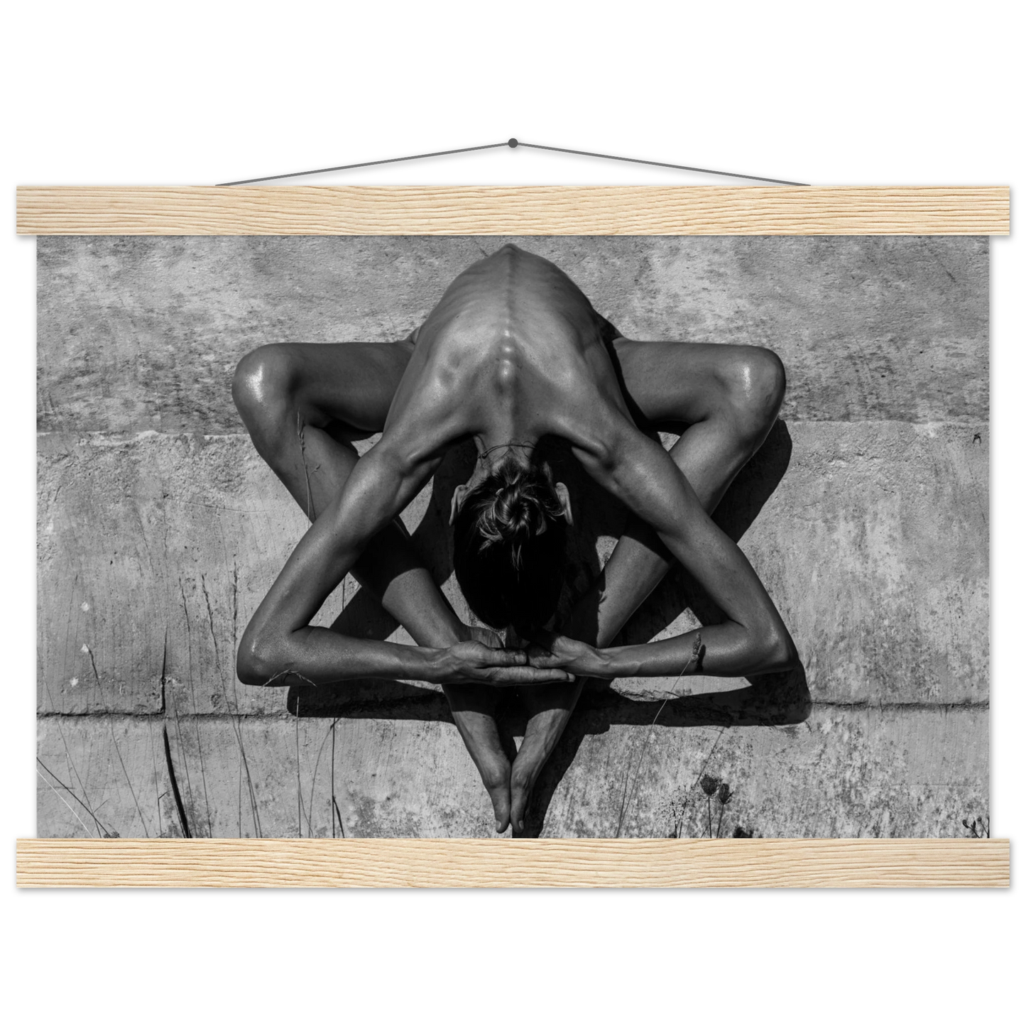 b5b3b2ad-b3cc-482c-8234-6d7d410498ba