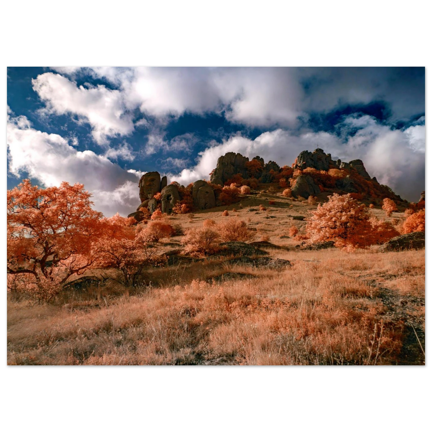 b626567b-2267-414e-8011-ae9faeb94444