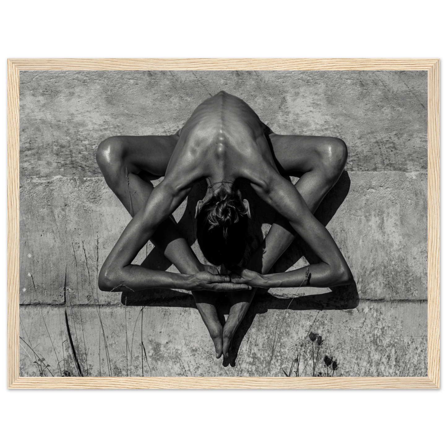 b6fc8dc2-53a6-42b6-9ccd-cce503e6c26b