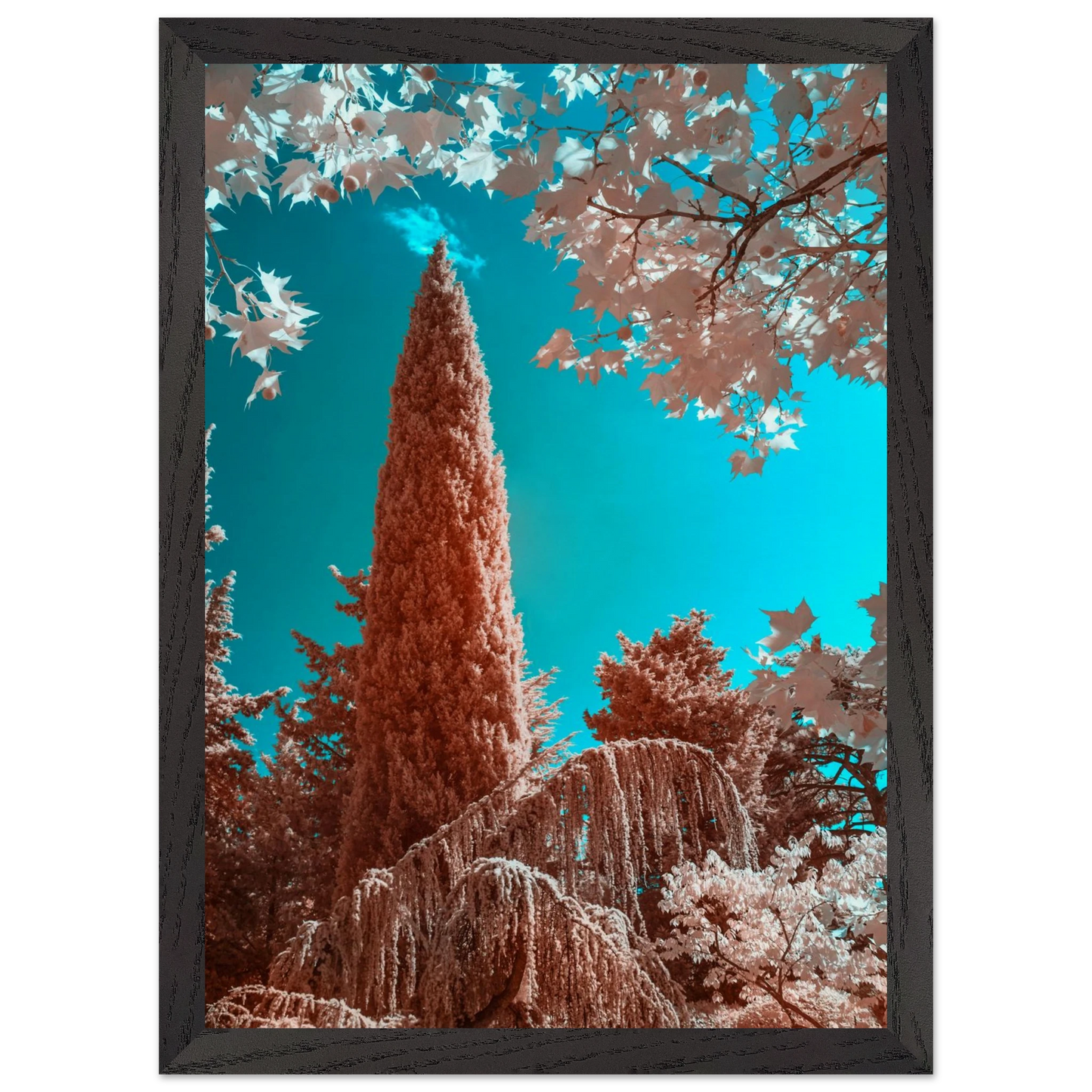 b82b57c5-1775-4204-8333-d2696110156b