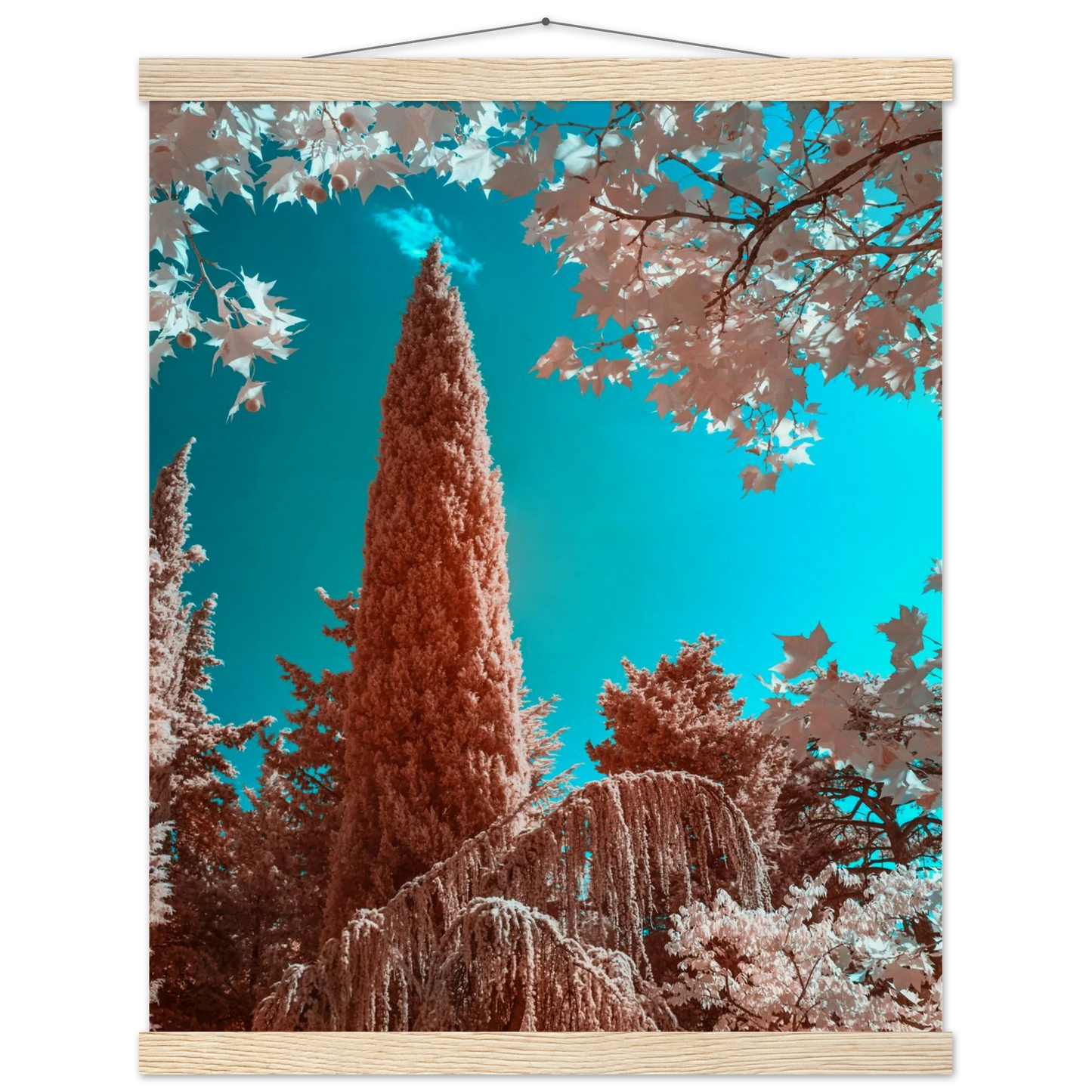 b8abfa6c-7c15-489f-a30c-acb607426bf4