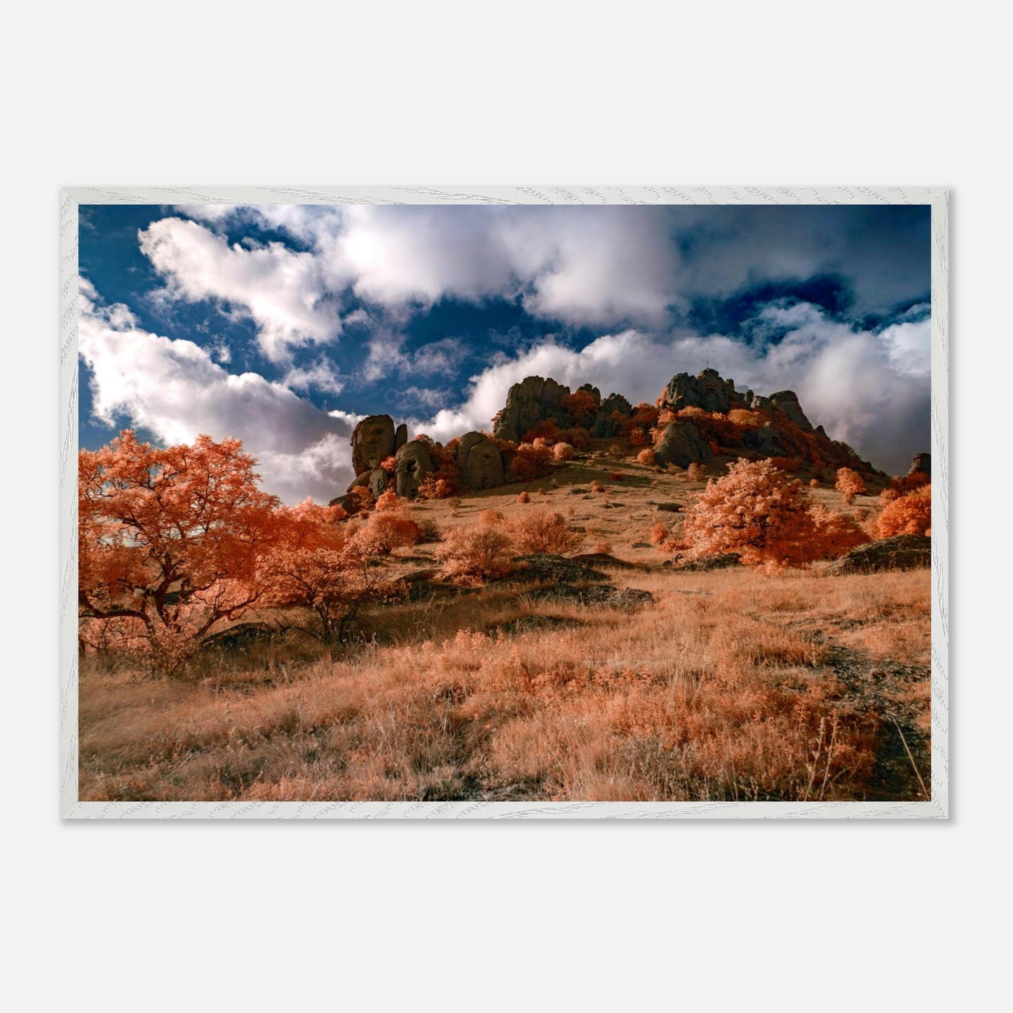 b8bcbd0f-1205-4440-8f8d-e50a39b2b330