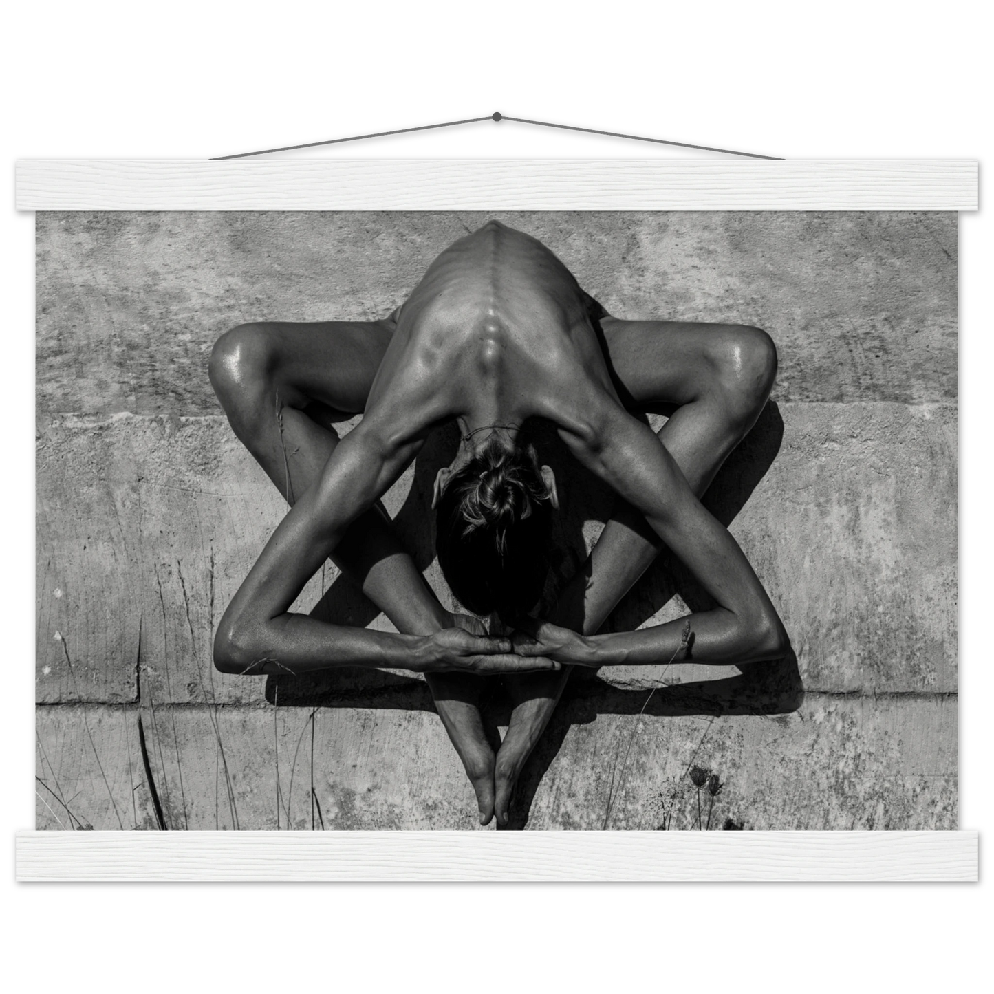 b8c6f6ae-a24f-4936-820a-58c362d32d2e