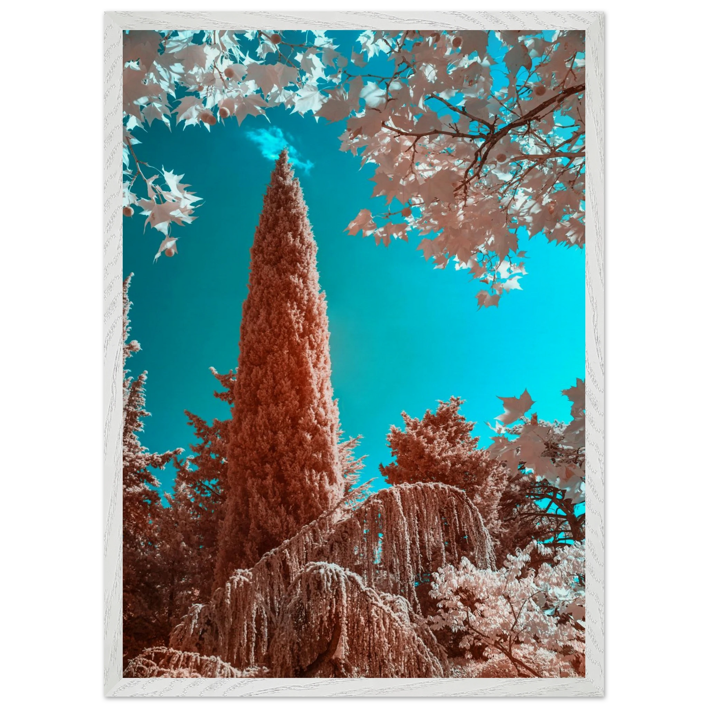 b929acc7-7a2d-4c25-9df6-fb588e4edfd6