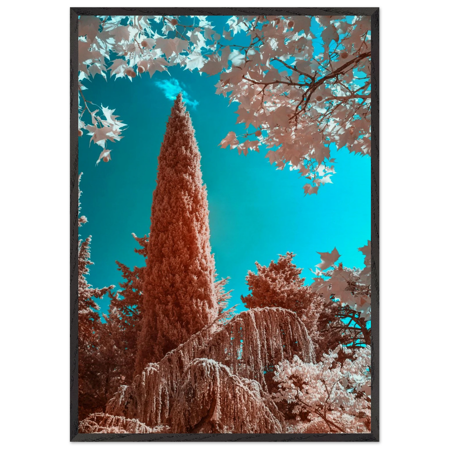 b9b3b03e-68fe-4689-b2d1-3bee3293f28a