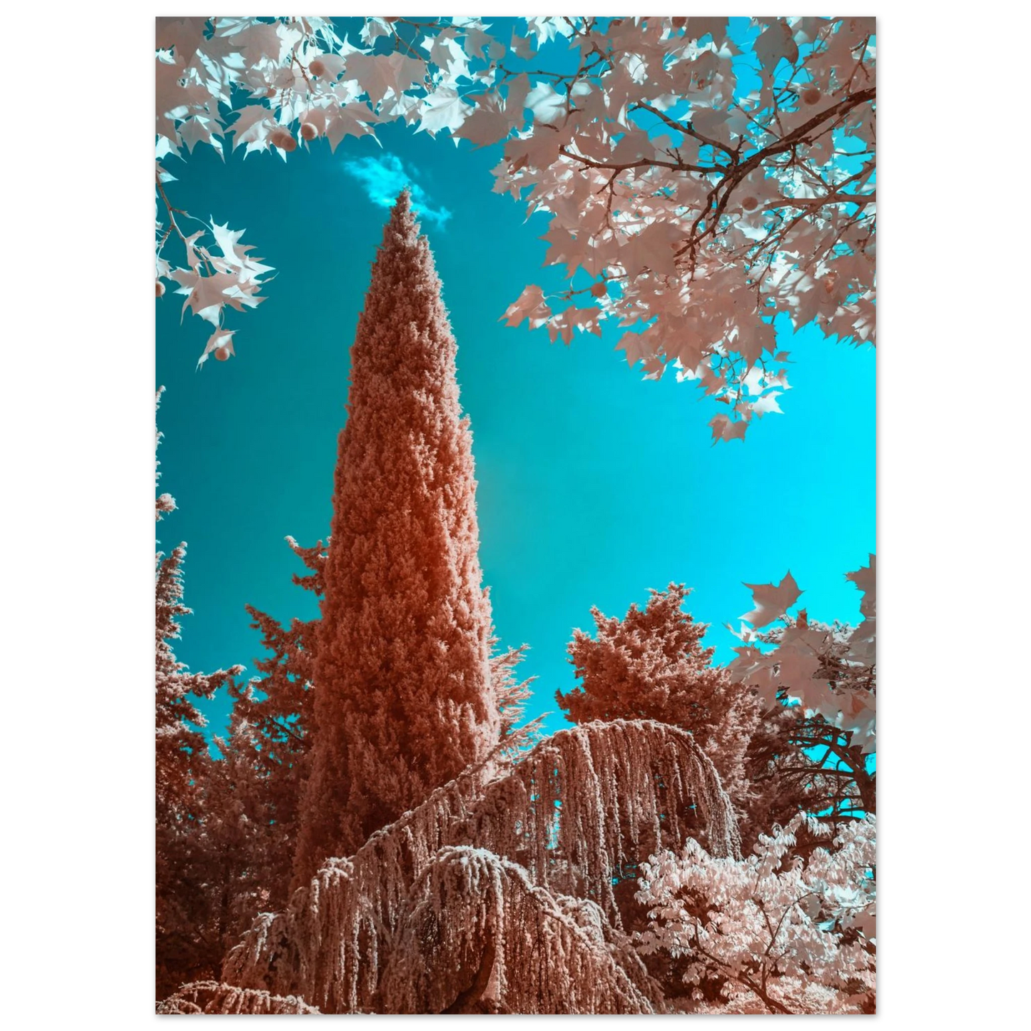 ba4ef725-2d06-46ad-9b17-14ca4d7a6c4c