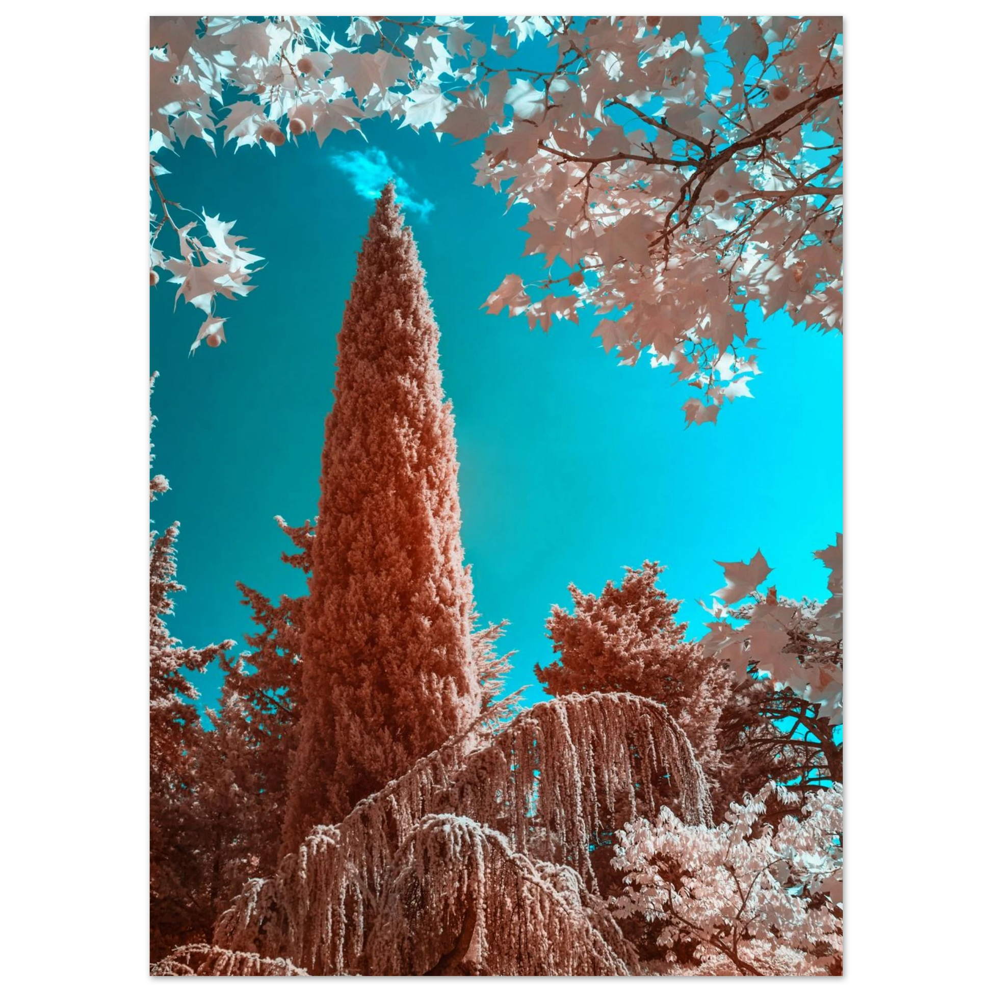 ba4ef725-2d06-46ad-9b17-14ca4d7a6c4c