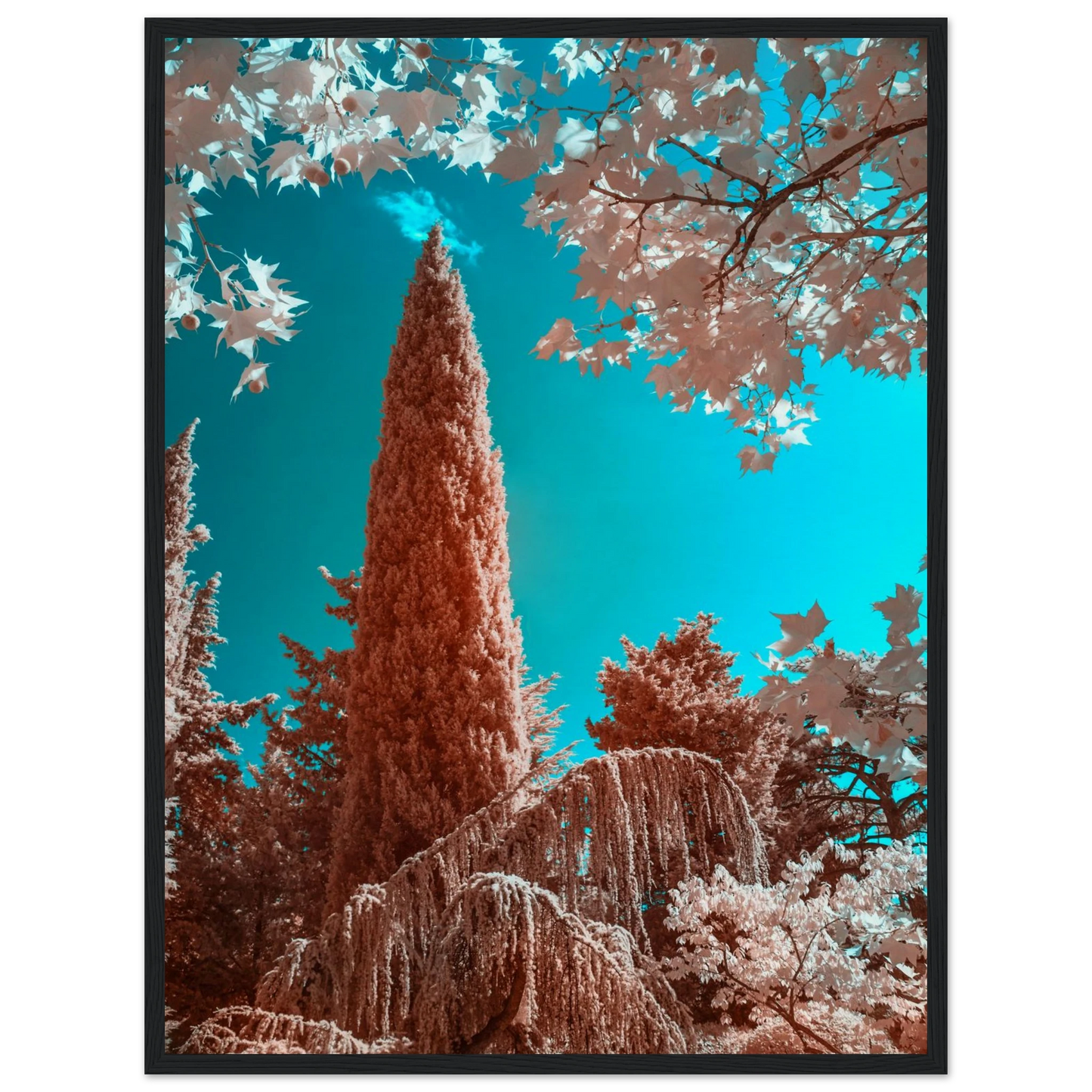 baa39135-72b0-4923-bf0d-eb1076c63d23