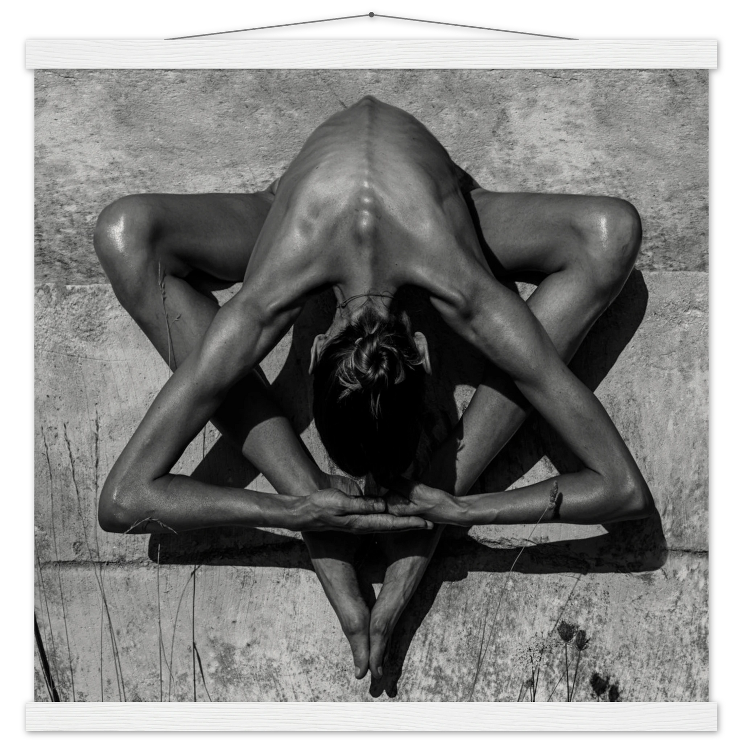 bab1c4c3-4765-4c22-8d95-56c5138d003a