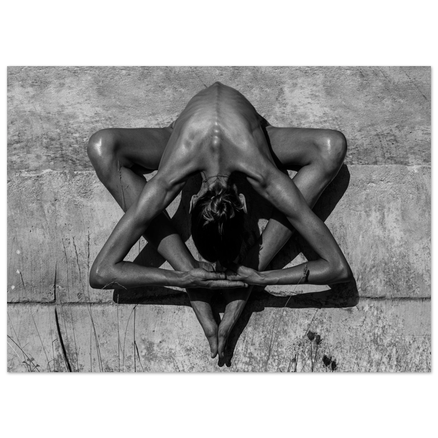 bafc30e4-c4e6-4f16-aa9f-ed4a985b8e05