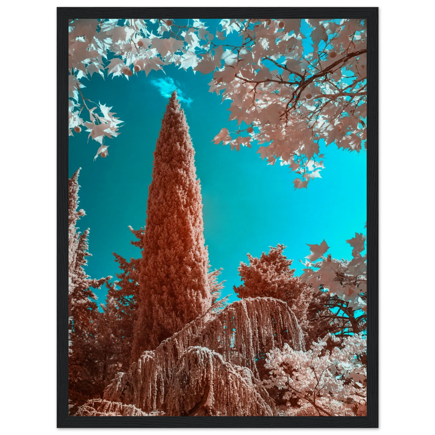 bba53770-8c78-40fb-ba93-51317bde14ab