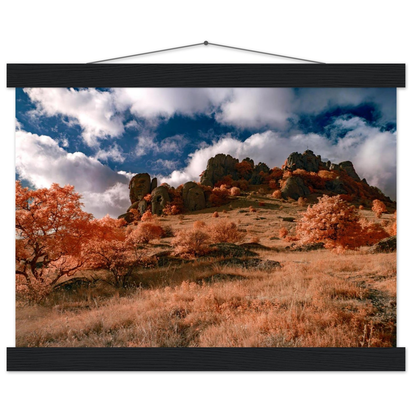 bc21d8c6-15f0-4f40-ae59-7a1953ce424d