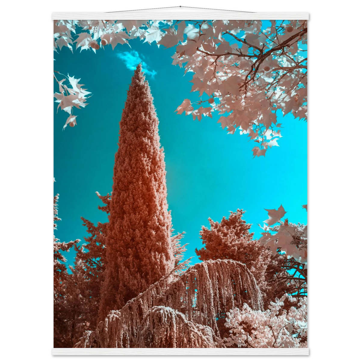 bc664308-275d-4374-9a53-5ce2f471406d