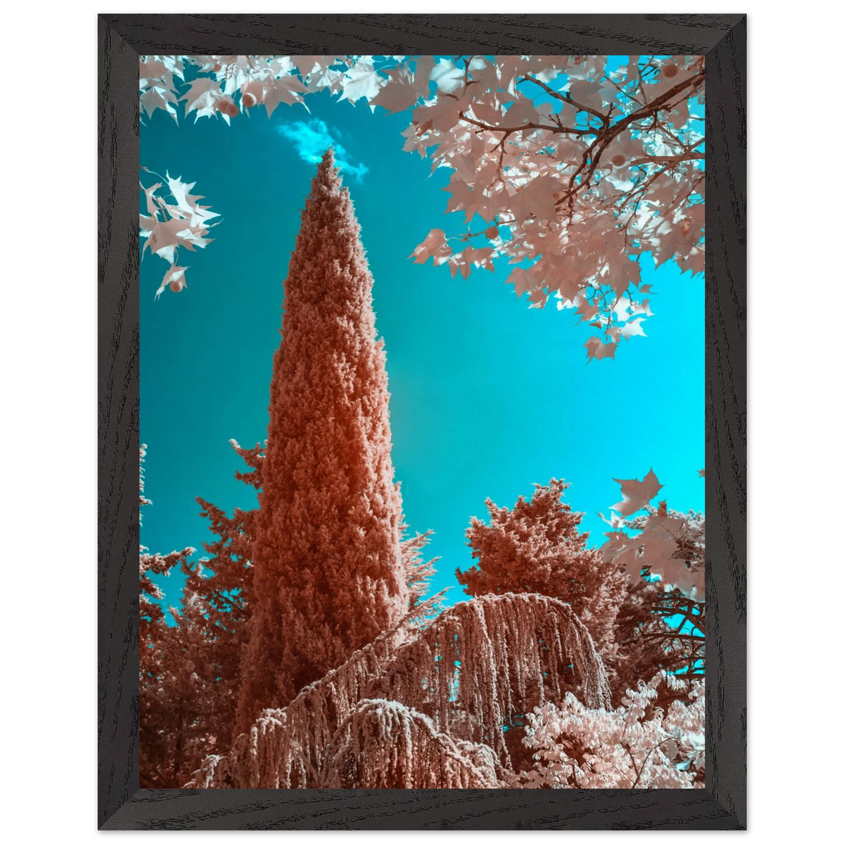 bdc95b63-4486-40ed-a6e0-cc6f08976405