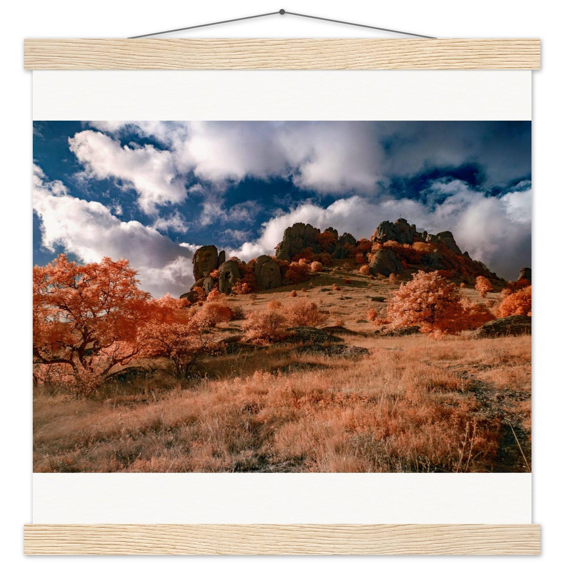 be39b0d9-9f66-49c8-a10e-03c407458155
