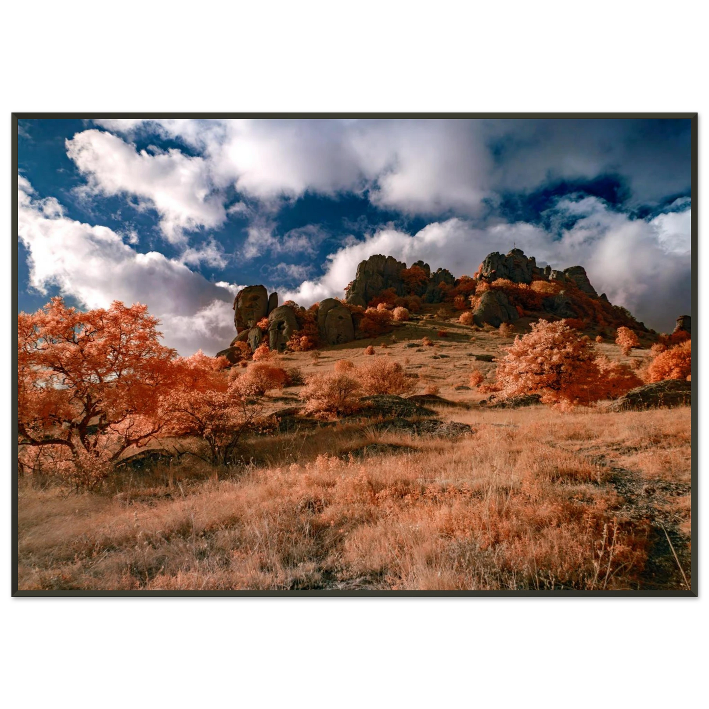 bebf404e-91e1-46c4-b7cd-d12e864e42c4