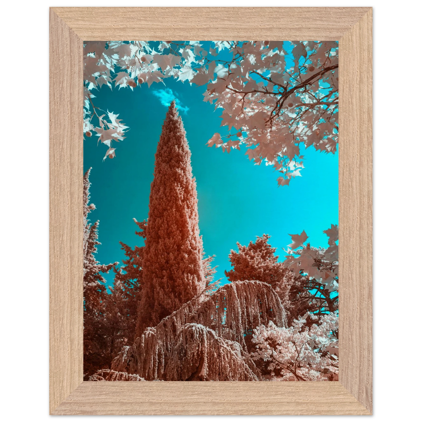 bec9d1b3-0aea-418c-ab49-73c80157762e