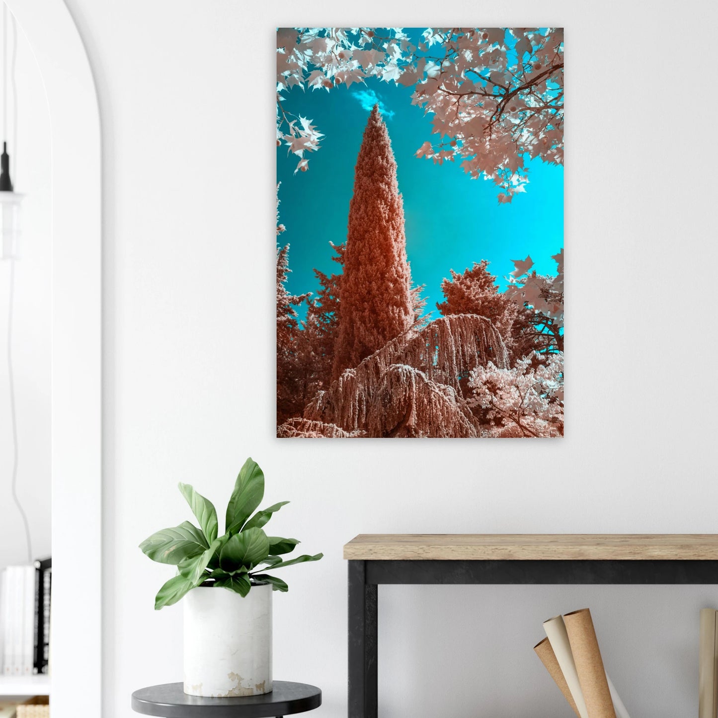 c0161af5-8517-48eb-92c6-88b56621626d