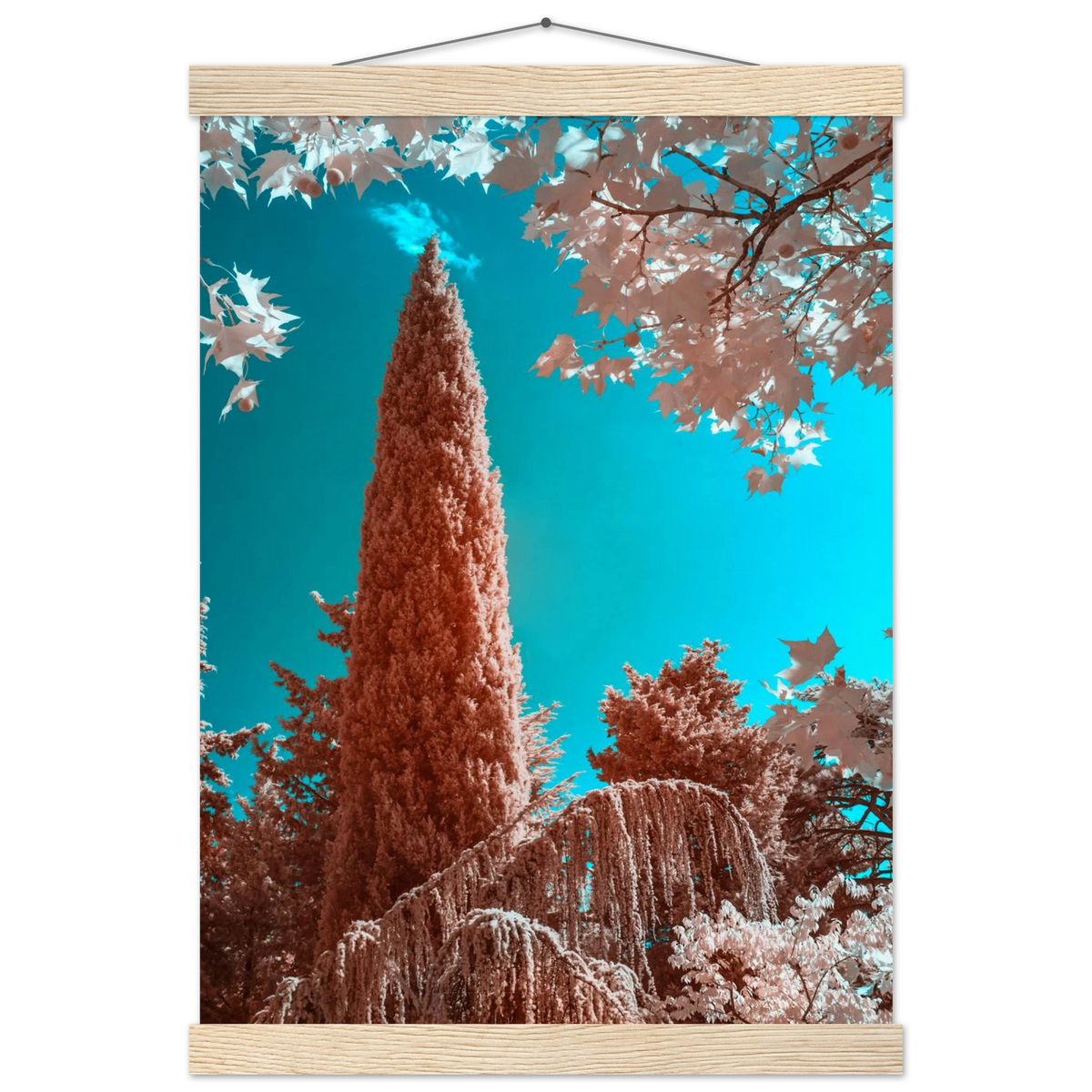 c0d8736b-14e2-412a-933a-725a03c356b1