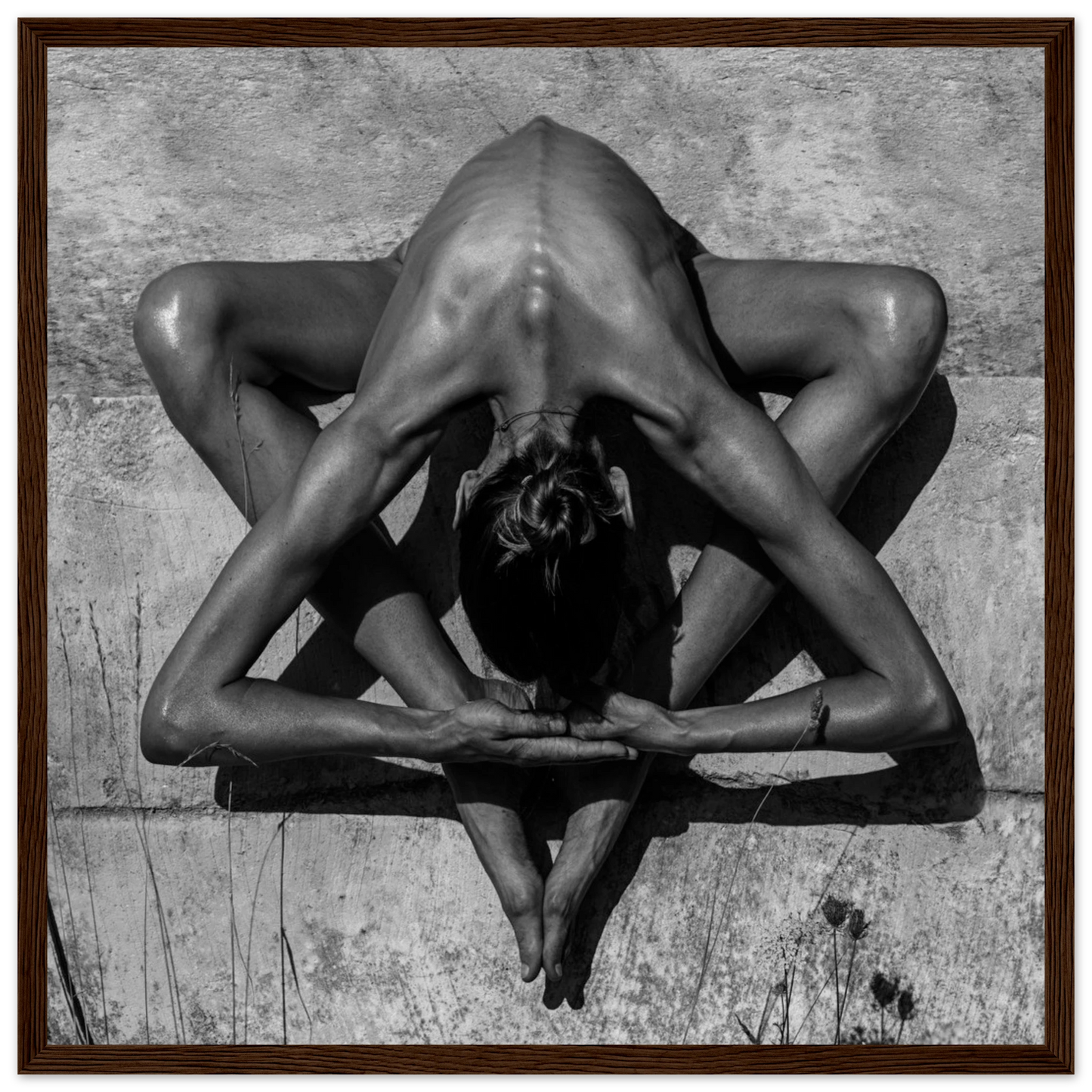 c169132f-4abd-411a-a714-13f6454120cc