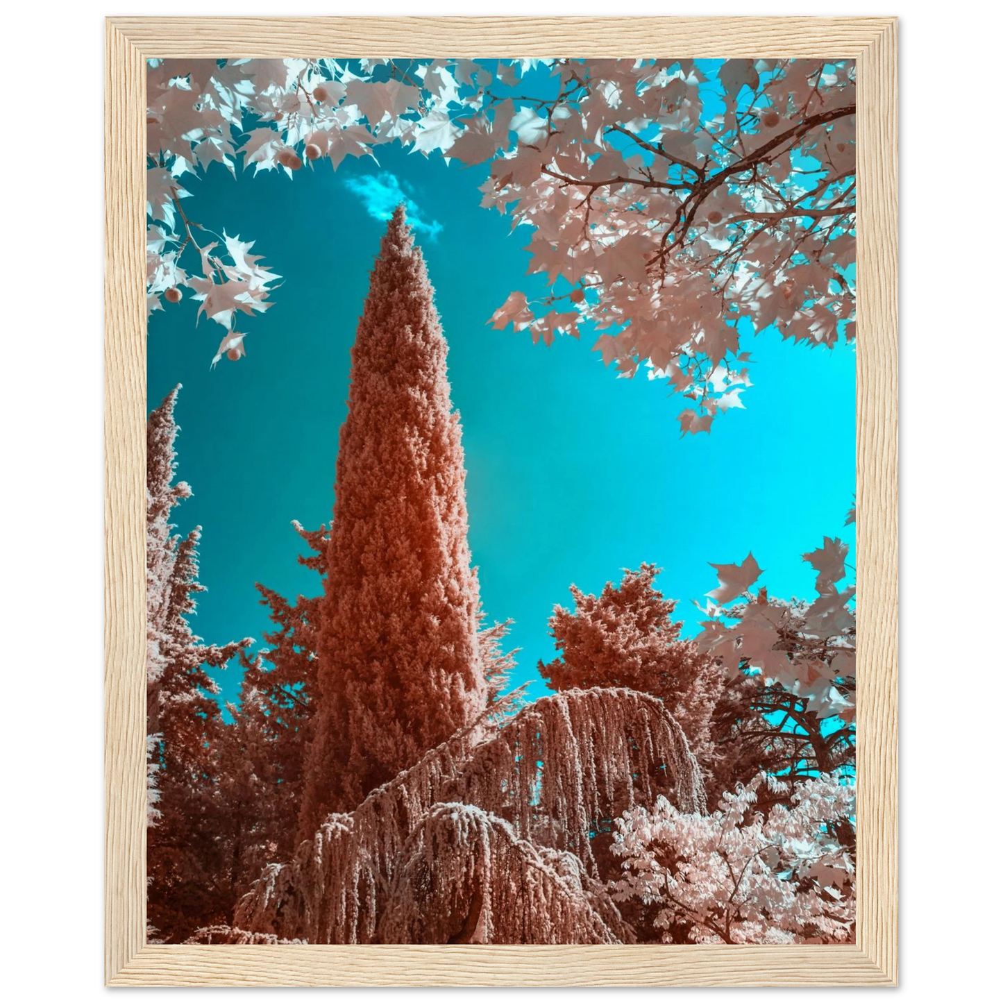 c1ef8e72-4ad9-4e58-b63b-c825a4c6afe4