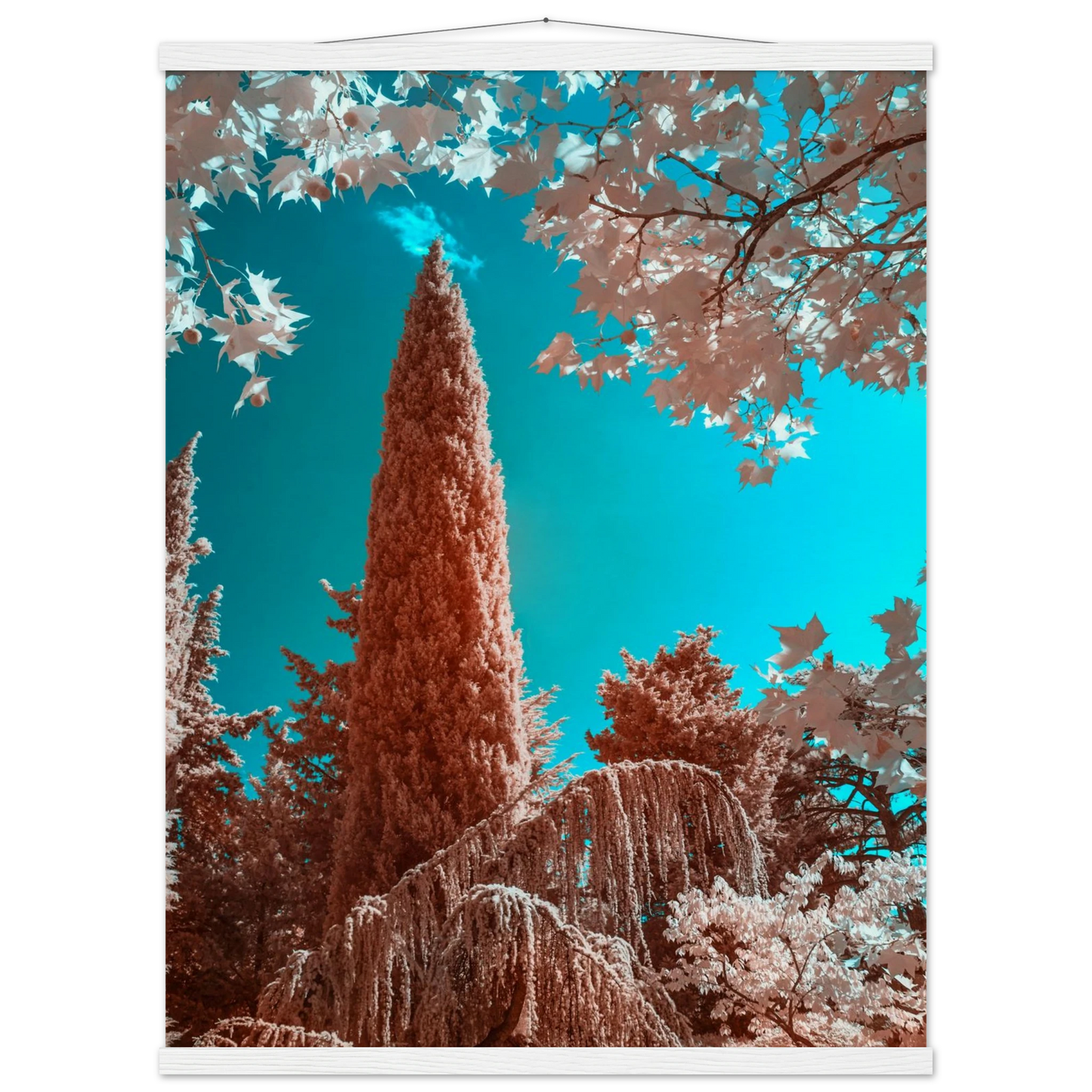 c20d3807-7a74-4449-aaca-fe346a45354a