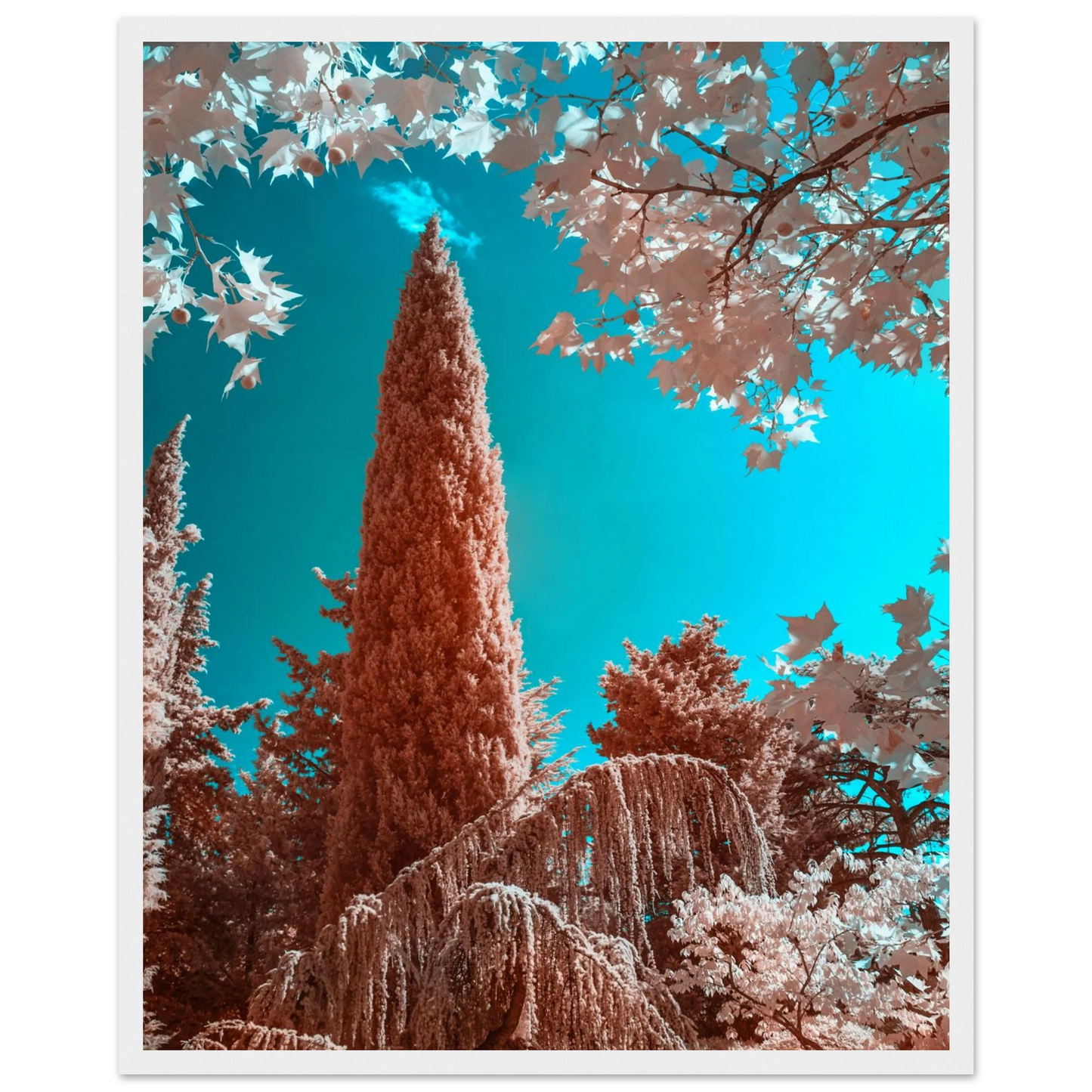 c54b1765-0f2c-4cc3-990e-33263bbd775b