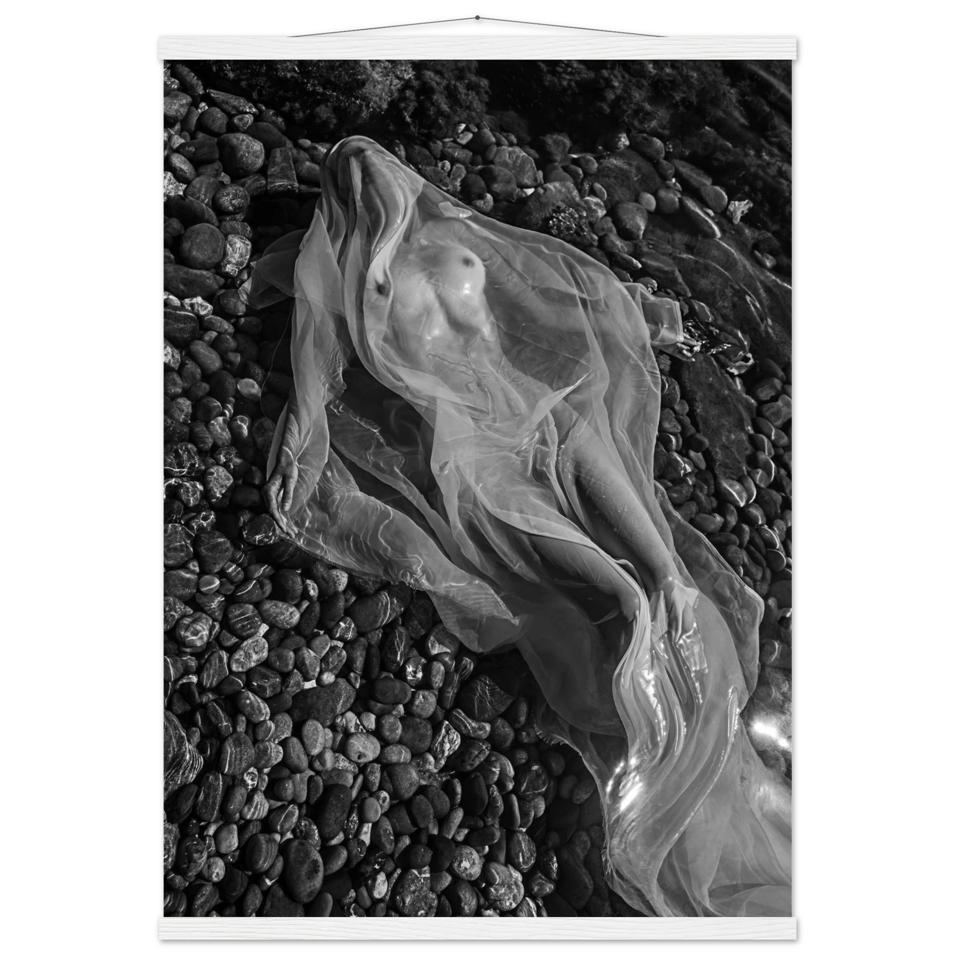 c57795d1-53f6-4b6b-a2c4-eab8e079720a
