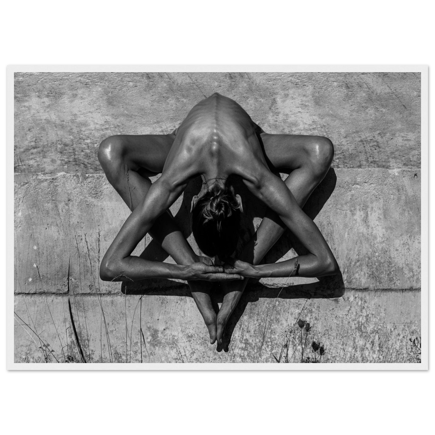 c59381a0-9d93-4d8d-b775-3d252efd1b2b