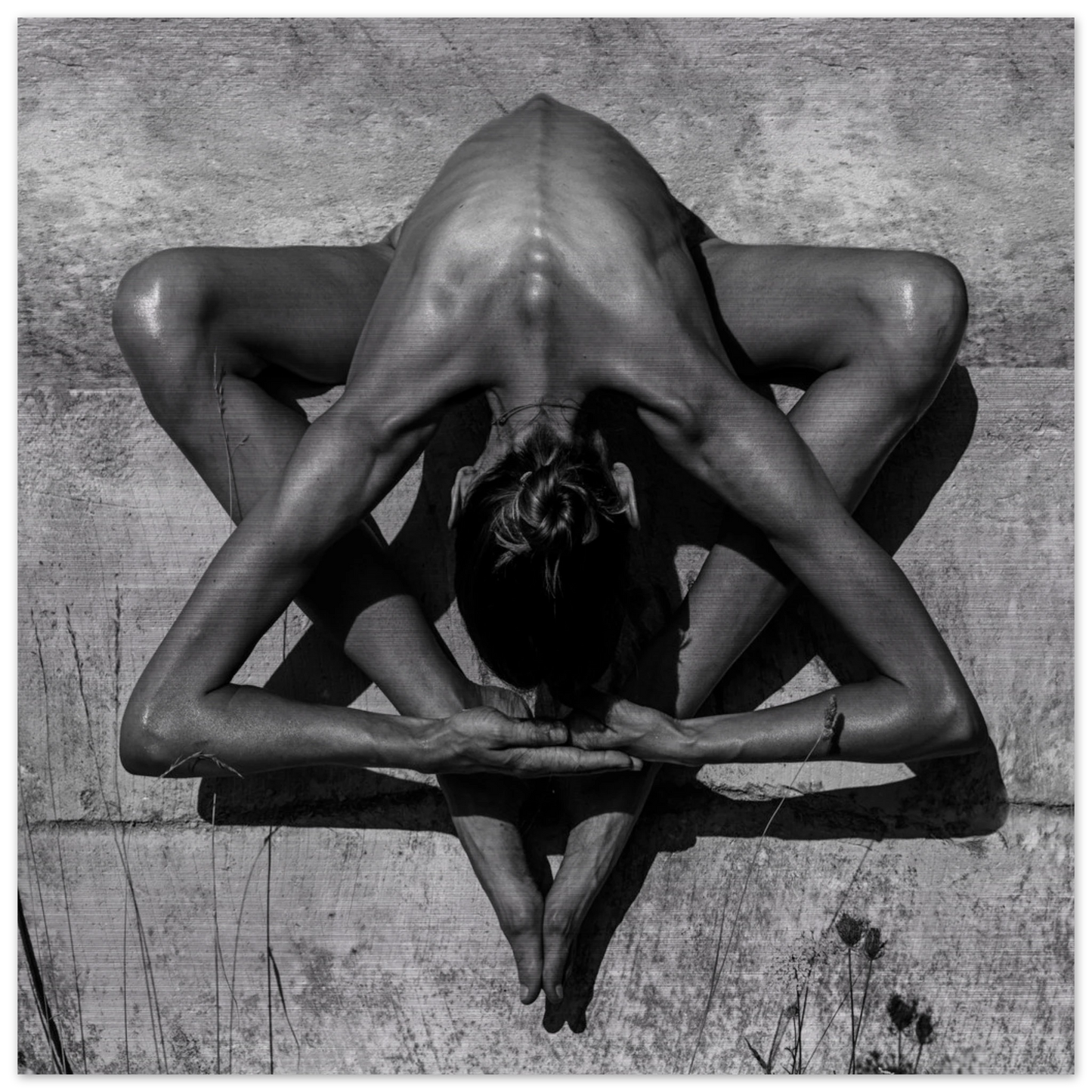 c595bc94-b3b3-4d72-9150-91f4fbb663c4