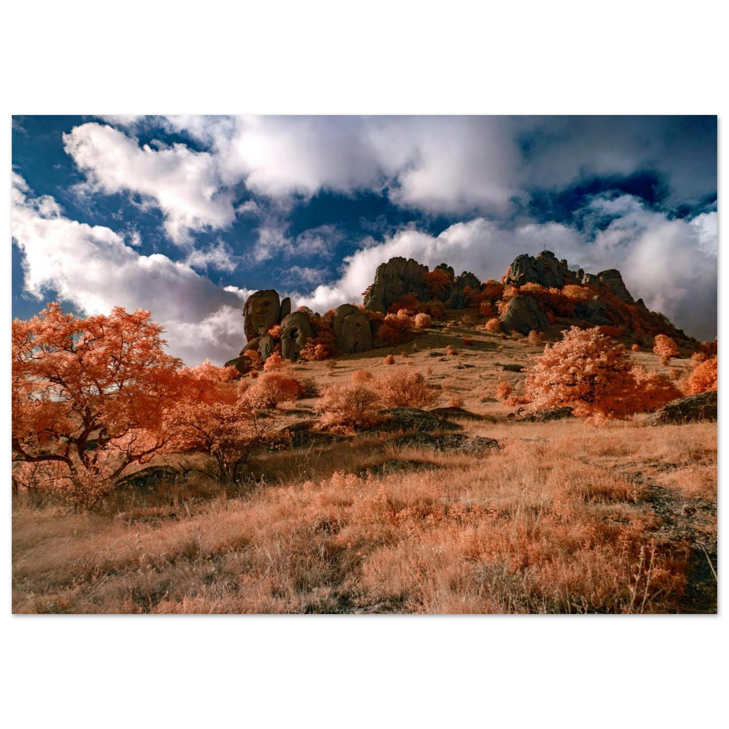 c5a16935-58a3-4115-aa58-2f704c973fc6