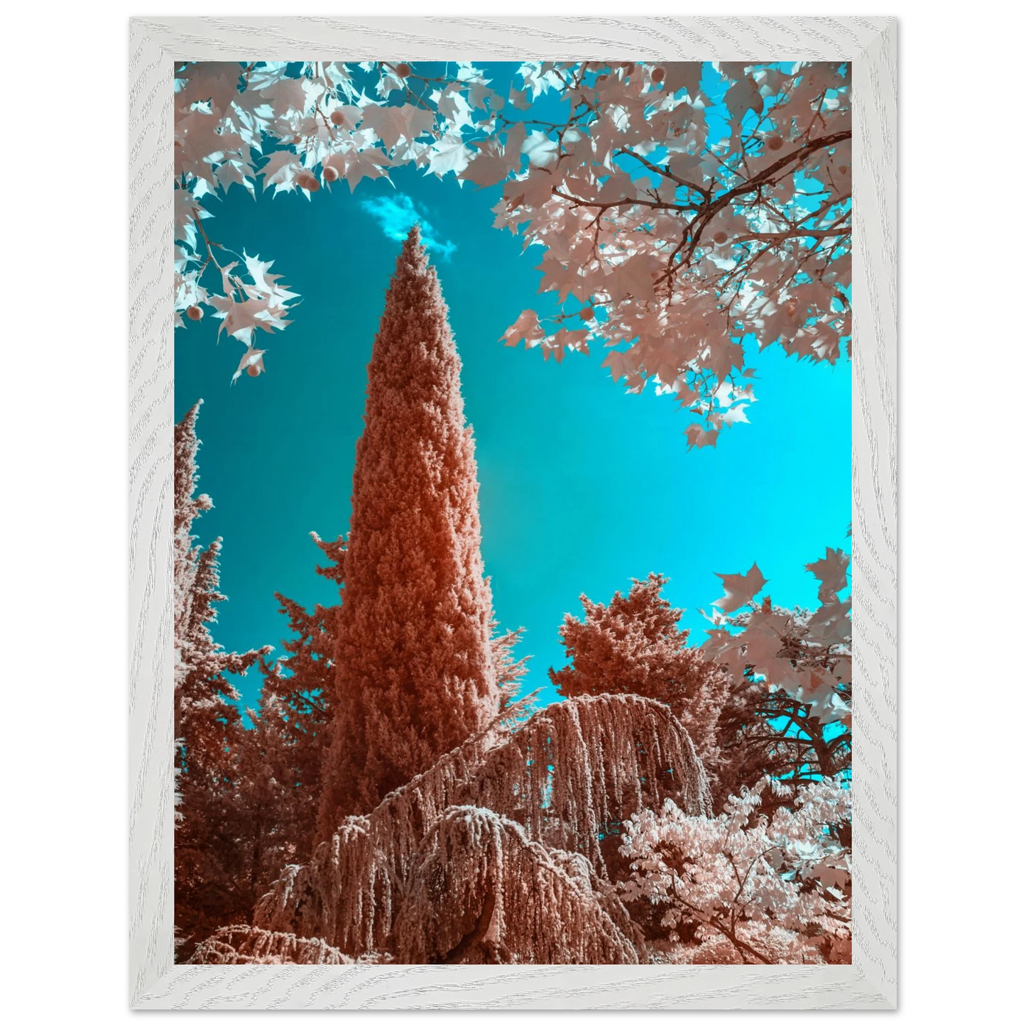 c653e554-e9ae-4bca-9560-bbea8be771ed