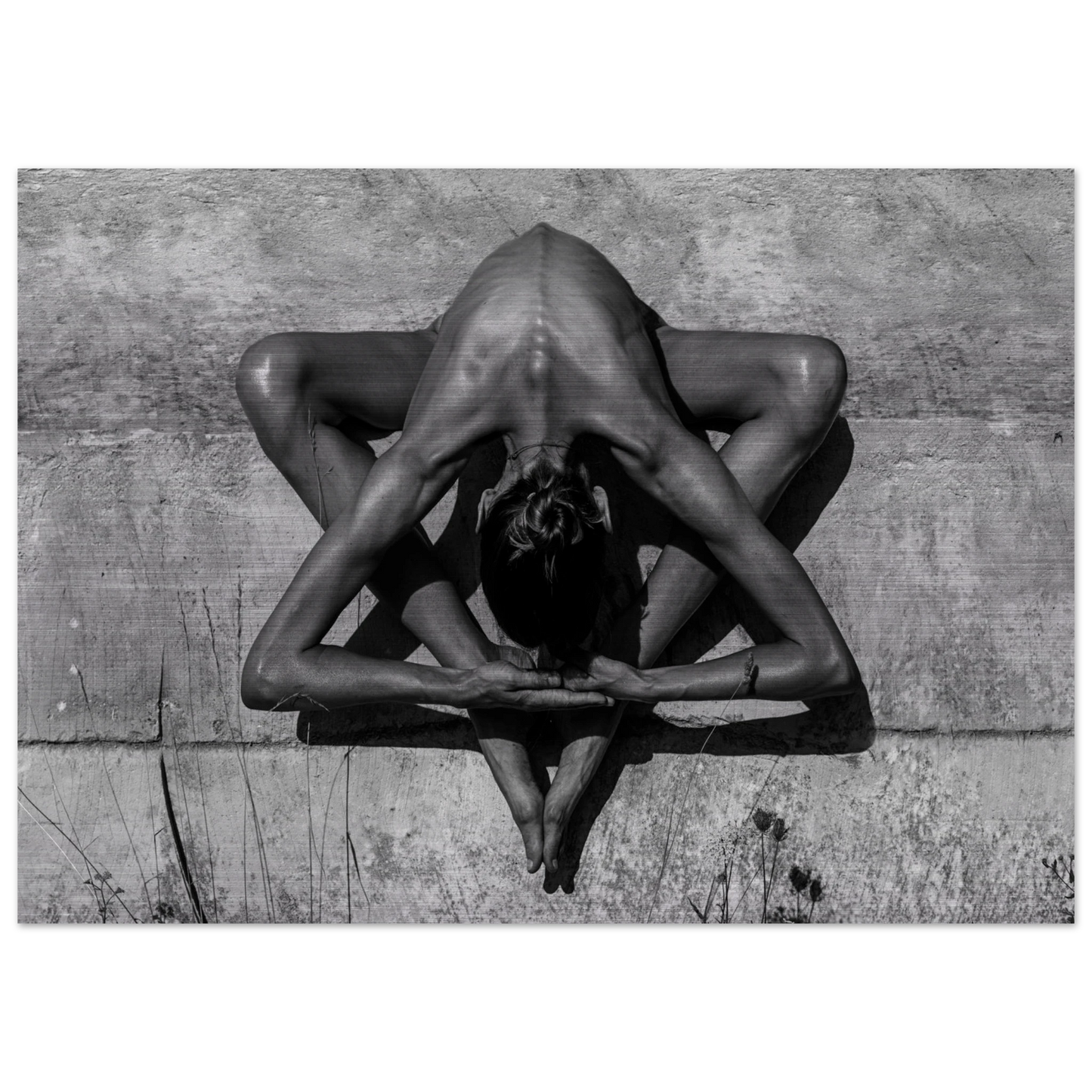 c6d1df31-793b-4e27-b4a7-15bca1b59f3d