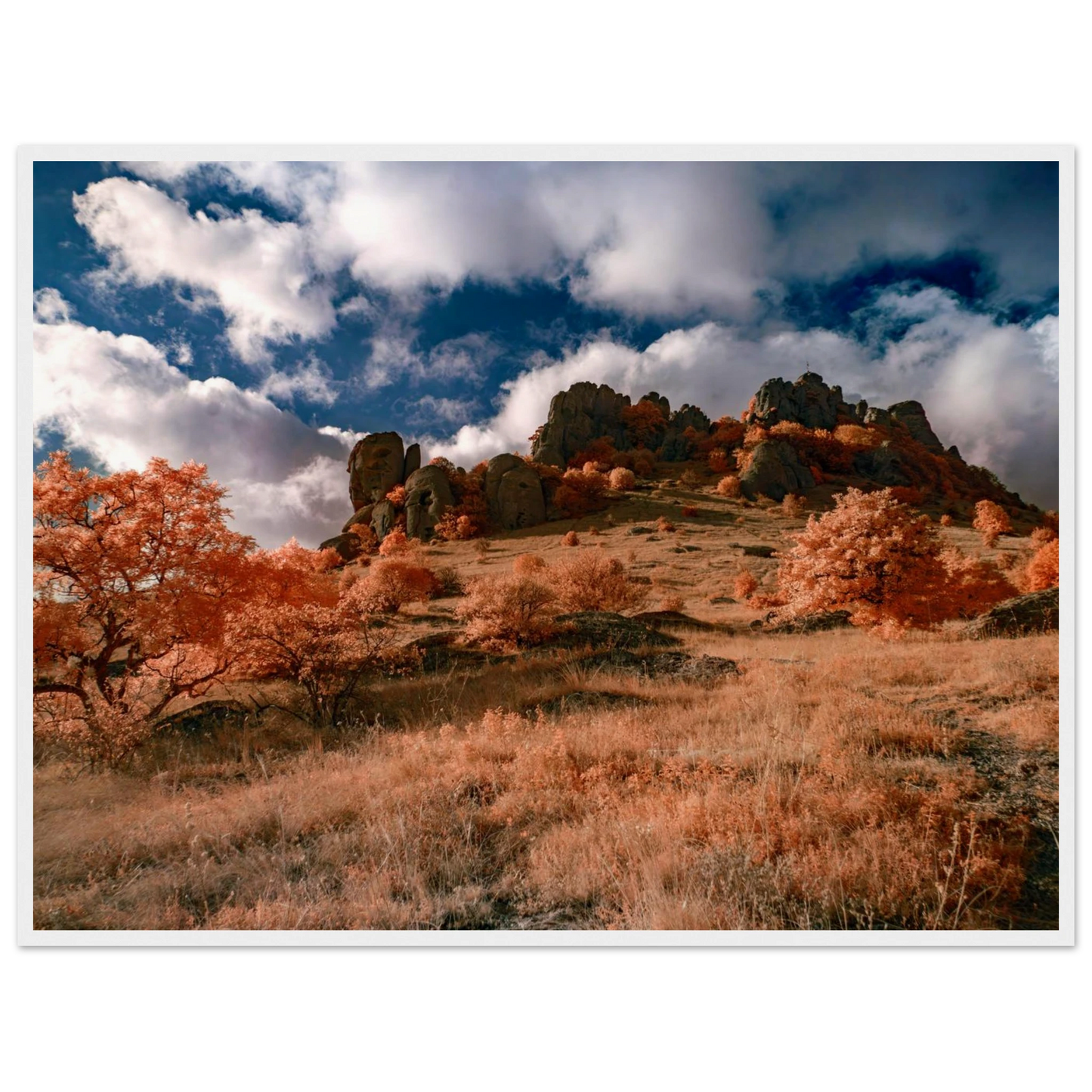 c6f7de1b-6f9d-46f1-bc94-29dac9f990c1