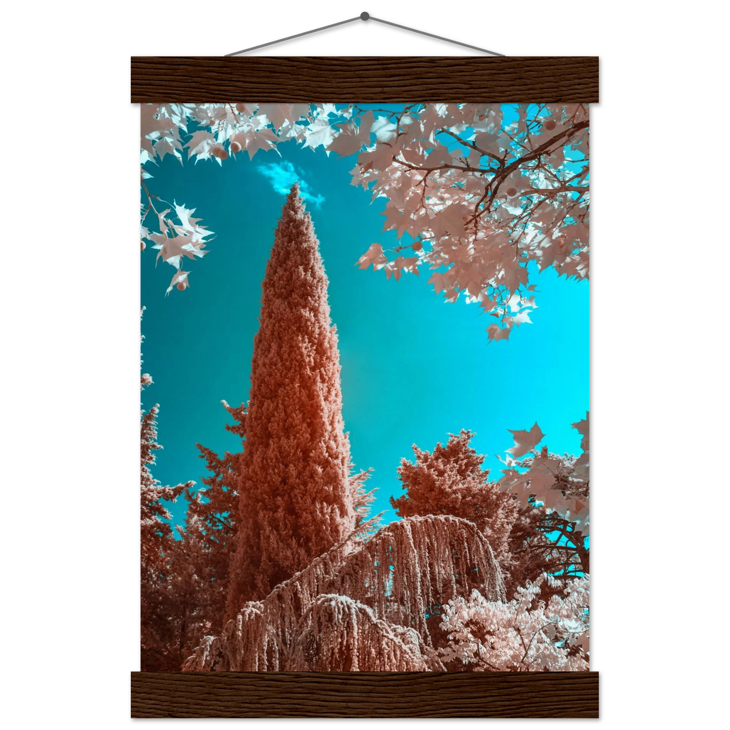 c70d7ce1-1aef-4666-8bf8-67f9caf32627