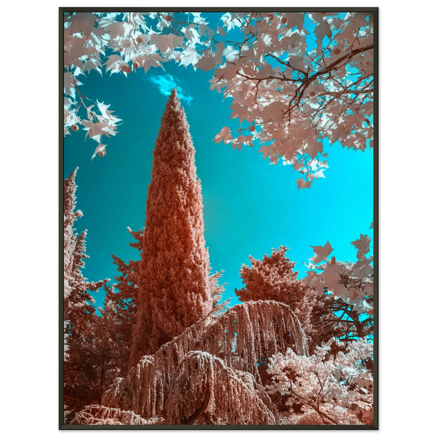 c71cc93a-0455-45e8-81df-18123af4aaeb