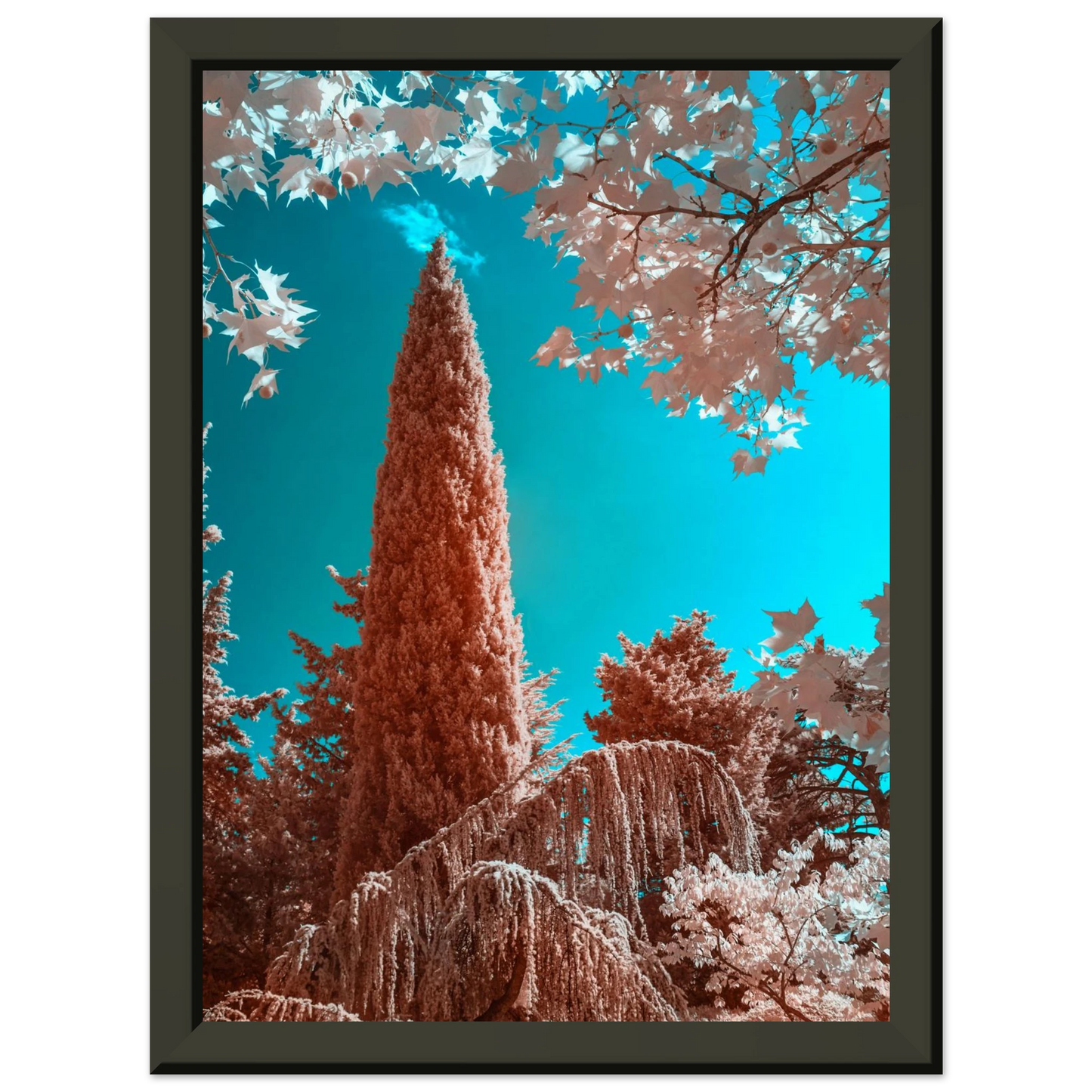 c7263d6d-94a9-4ef1-a067-79418b503f13