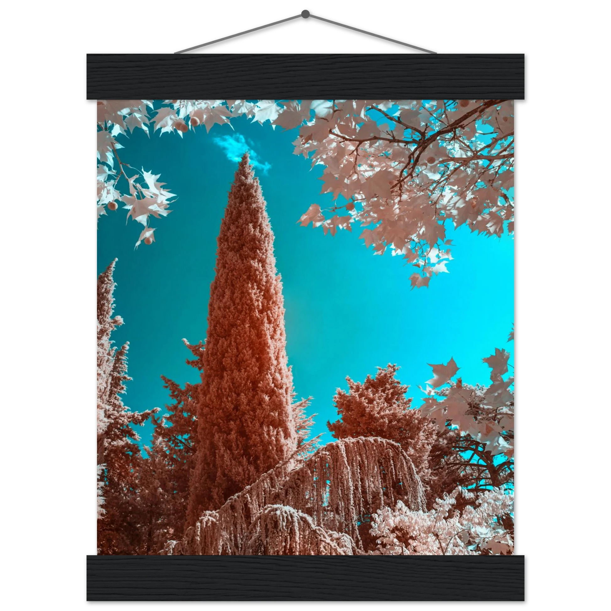 c72a85f4-5ffa-4f5c-82a5-fddb3f5bd91e