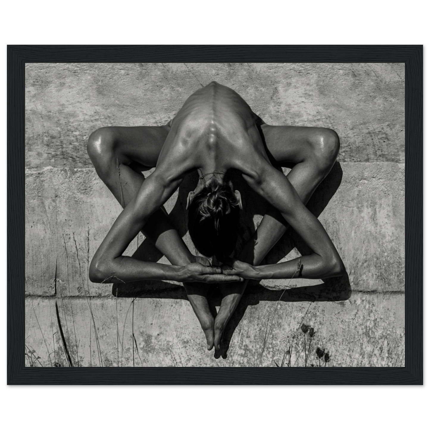 c72eeb53-af90-4ee9-bba0-116801b685f6