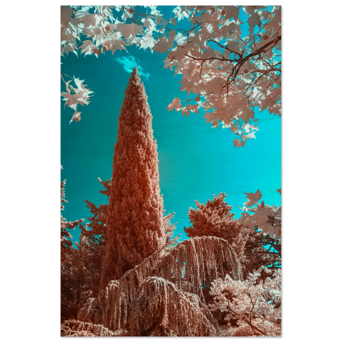 c7348628-85ee-4b9c-946c-f902ffe0f825