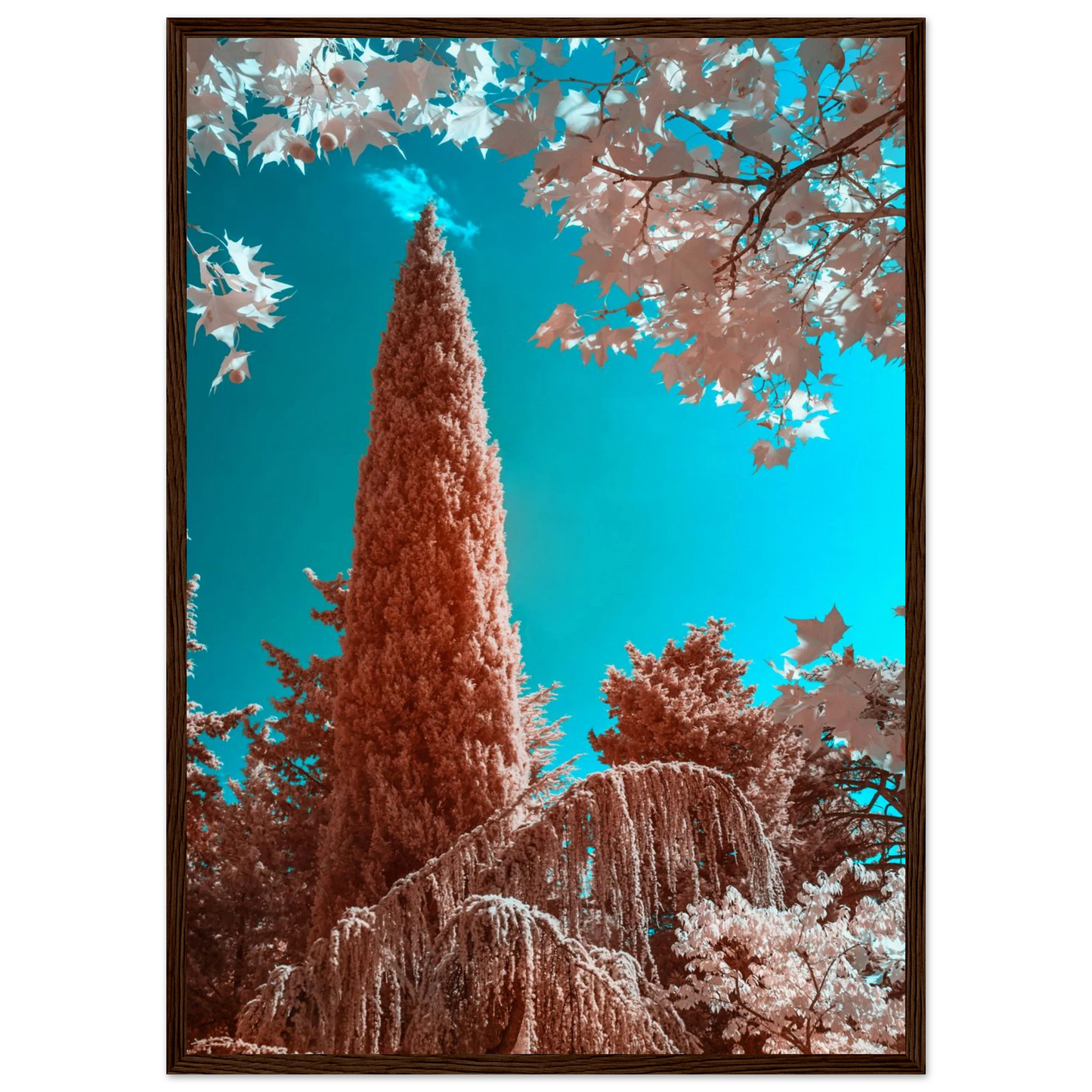 c75f3dfb-02f4-4da2-8a46-a392a674b416