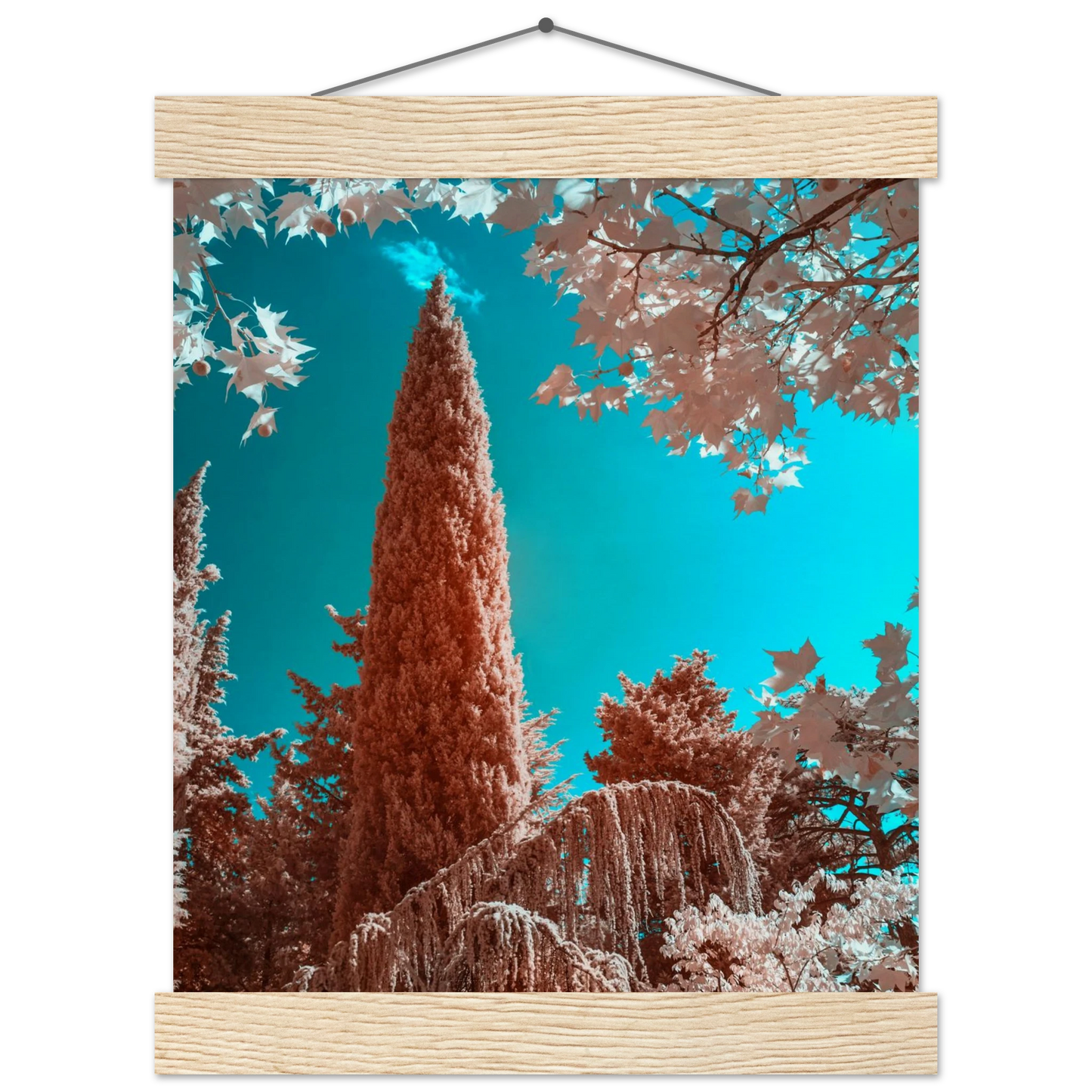 c7943dc8-6a38-494d-95c2-7351b93b3810