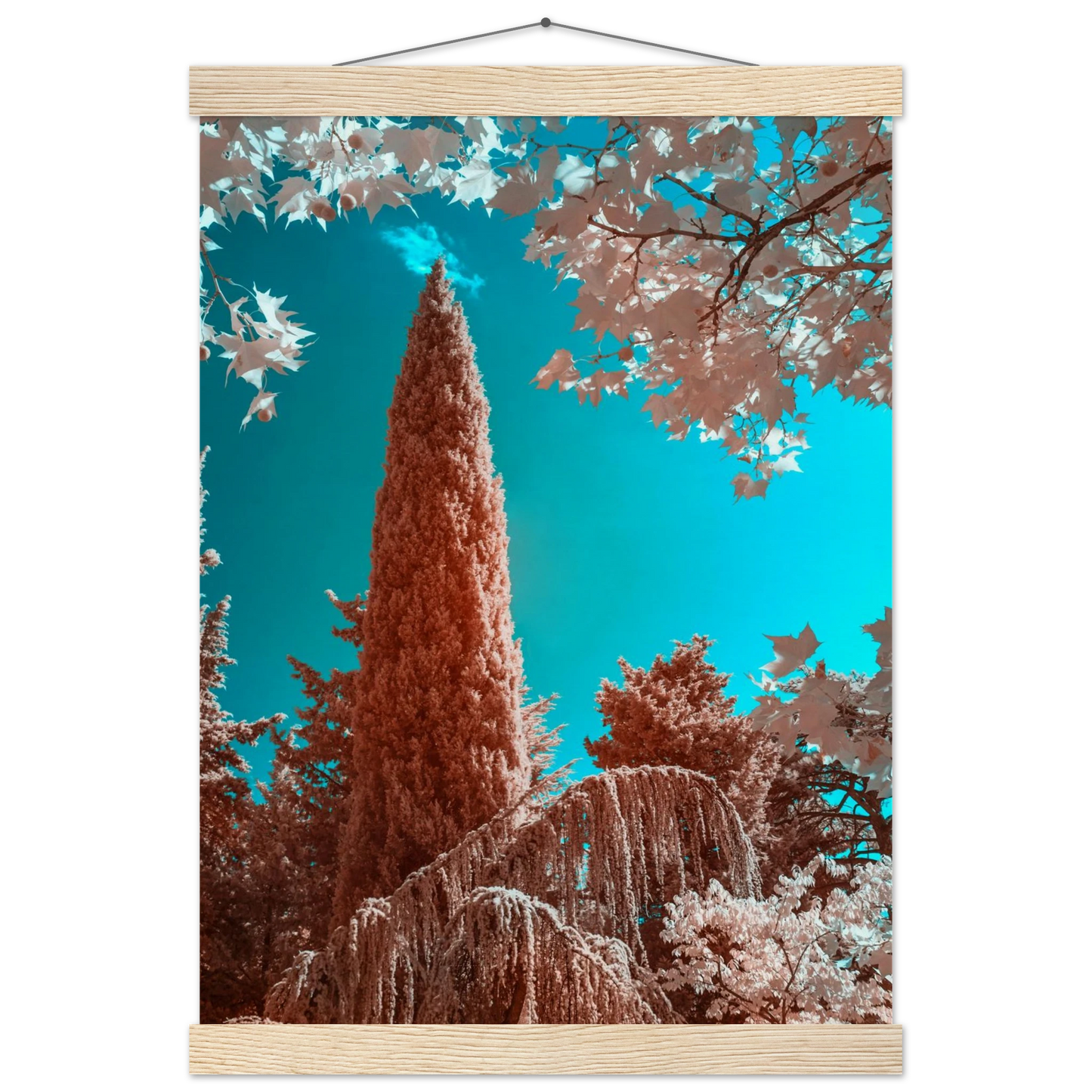 c7bb4217-d4f0-4090-baaf-10f188b6514a