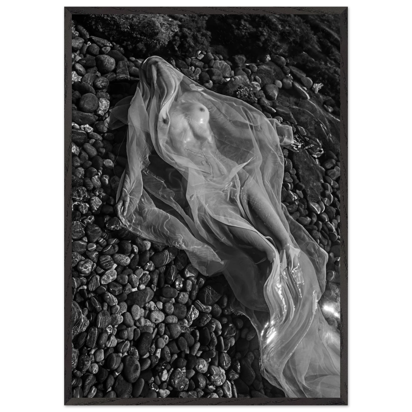 c825a489-5891-4da5-ba71-cfae3e1cd88e