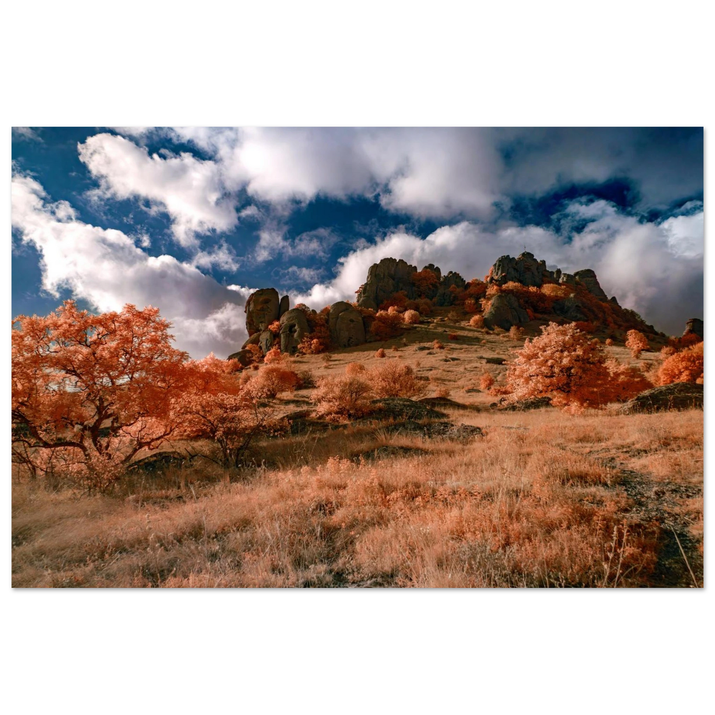 c832f7e3-76a3-4b88-baef-598bfc2e007f