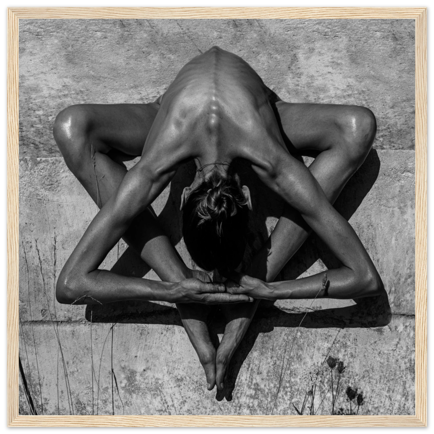 c88d00af-d1d3-4741-8352-49243c7ff020